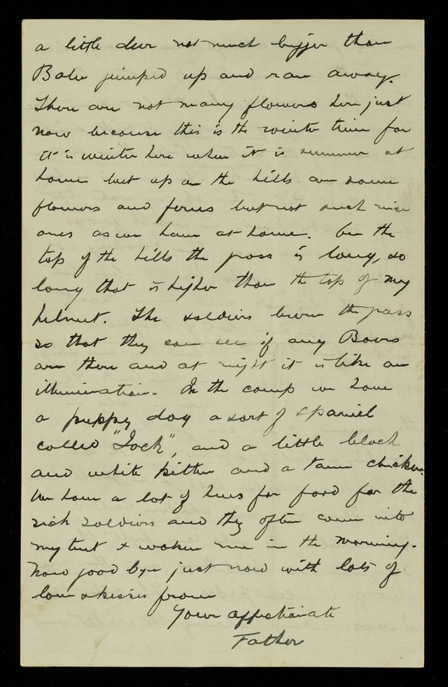 No text description is available for this image