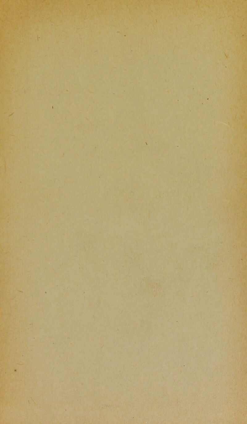 't ©«■ ^ § J. — Sk^ • ULi,- ■■ . • / . • i \ \ *• V * rVA, ✓ •7 •\