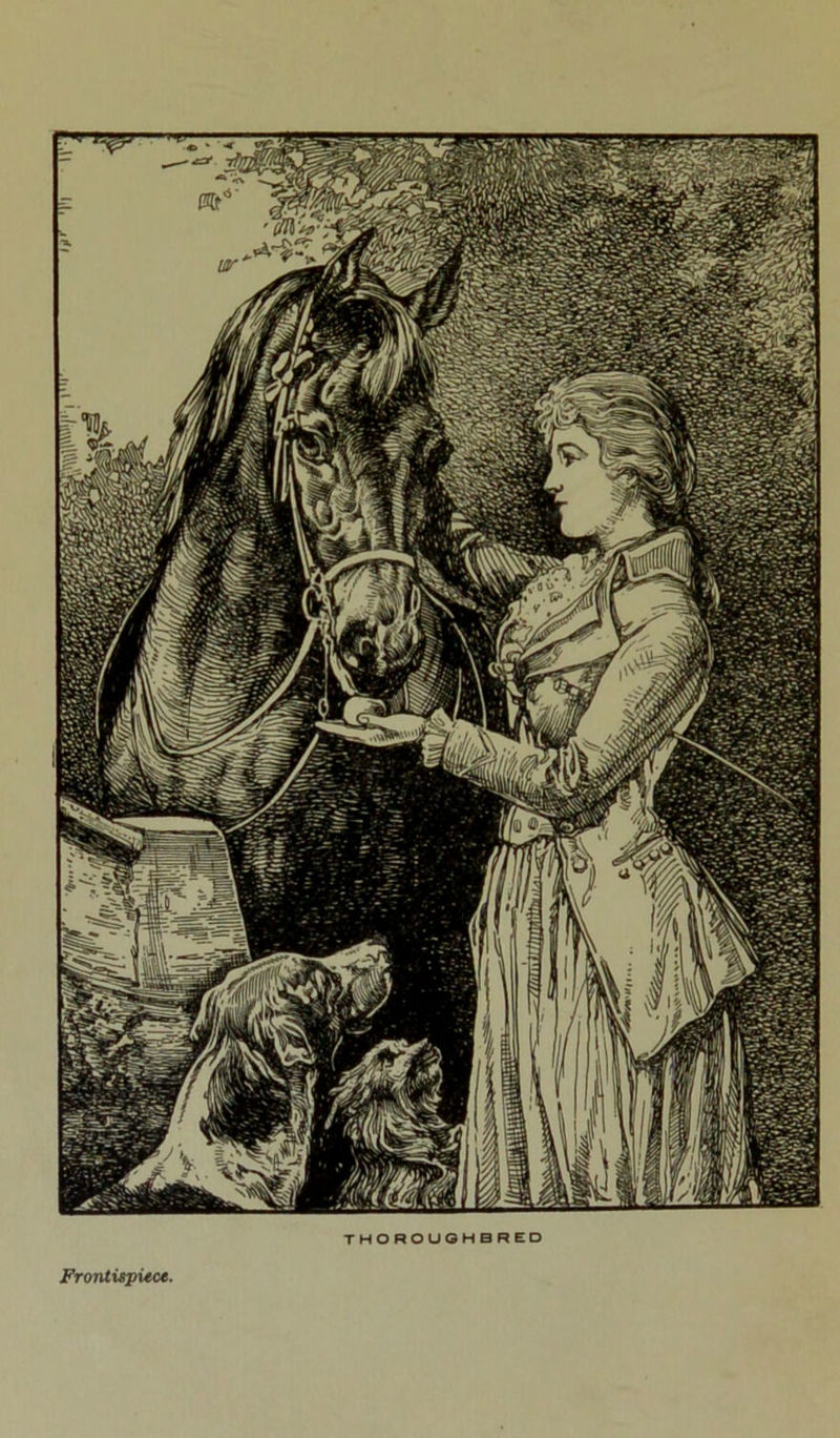 THOROUOHBRED Frontispiece.