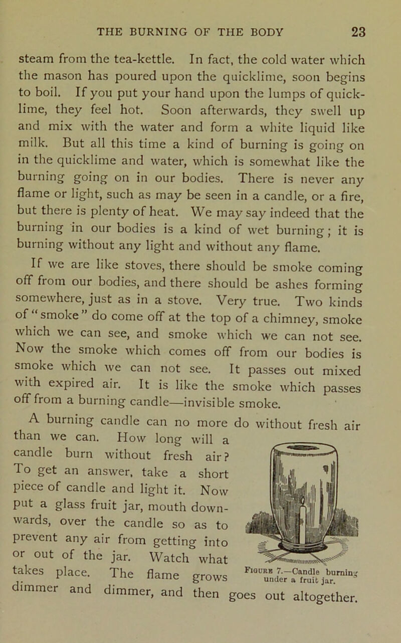 steam from the tea-kettle. In fact, the cold water which the mason has poured upon the quicklime, soon begins to boil. If you put your hand upon the lumps of quick- lime, they feel hot. Soon afterwards, they swell up and mix with the water and form a white liquid like milk. But all this time a kind of burning is going on in the quicklime and water, which is somewhat like the burning going on in our bodies. There is never any flame or light, such as may be seen in a candle, or a fire, but there is plenty of heat. We may say indeed that the burning in our bodies is a kind of wet burning; it is burning without any light and without any flame. If we are like stoves, there should be smoke coming off from our bodies, and there should be ashes forming somewhere, just as in a stove. Very true. Two kinds of smoke do come off at the top of a chimney, smoke which we can see, and smoke which we can not see. Now the smoke which comes off from our bodies is smoke which we can not see. It passes out mixed with expired air. It is like the smoke which passes off from a burning candle—invisible smoke. A burning candle can no more do without fresh air than we can. How long will a candle burn without fresh air? To get an answer, take a short piece of candle and light it. Now put a glass fruit jar, mouth down- wards, over the candle so as to prevent any air from getting into or out of the jar. Watch what takes place. The flame grows dimmer and dimmer, and then i grows Fionnis 7.—Candle burning' under a fruit jar. goes out altogether.