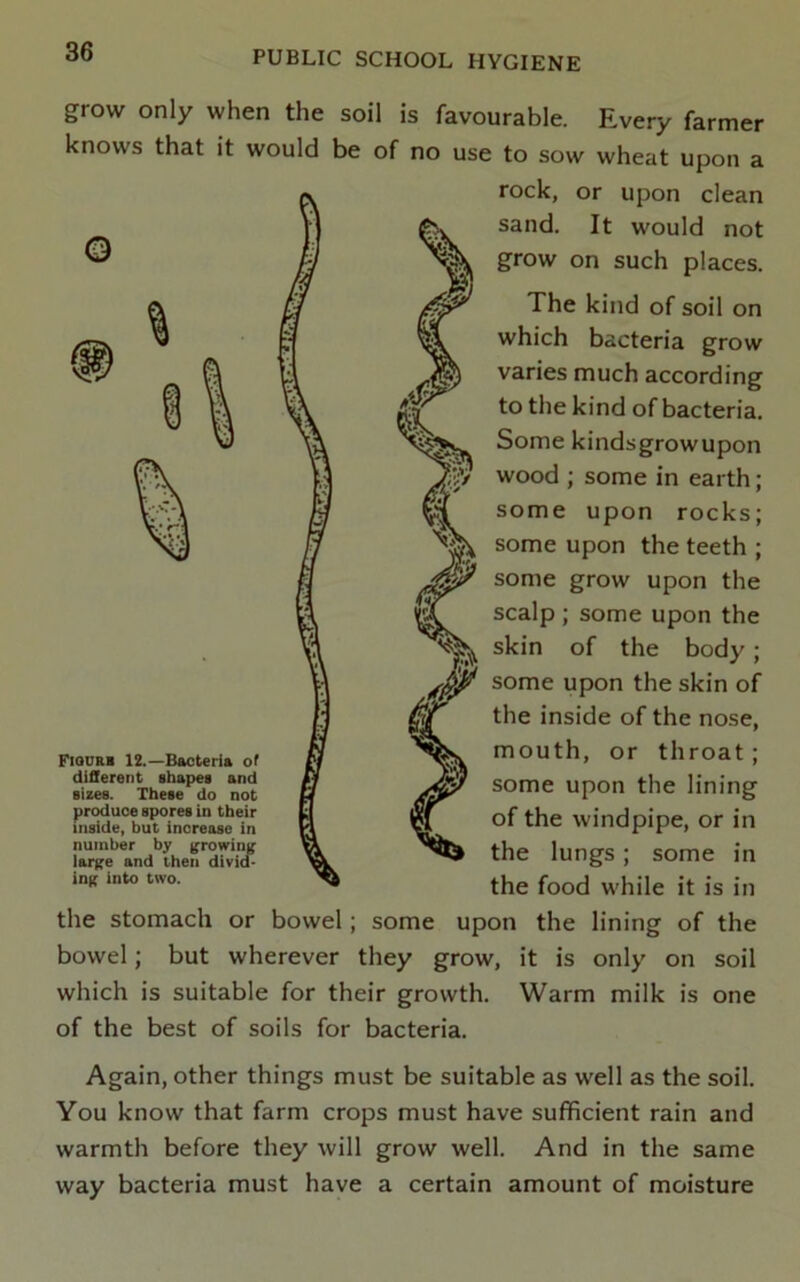 grow only when the soil is favourable. Every farmer knows that it would be of no use to sow wheat upon a rock, or upon clean sand. It would not grow on such places. The kind of soil on which bacteria grow varies much according to the kind of bacteria. Some kindsgrowupon wood ; some in earth ; some upon rocks; some upon the teeth ; some grow upon the scalp ; some upon the skin of the body; some upon the skin of the inside of the nose, mouth, or throat; some upon the lining of the windpipe, or in the lungs; some in the food while it is in the stomach or bowel; some upon the lining of the bowel; but wherever they grow, it is only on soil which is suitable for their growth. Warm milk is one of the best of soils for bacteria. Again, other things must be suitable as well as the soil. You know that farm crops must have sufficient rain and warmth before they will grow well. And in the same way bacteria must have a certain amount of moisture