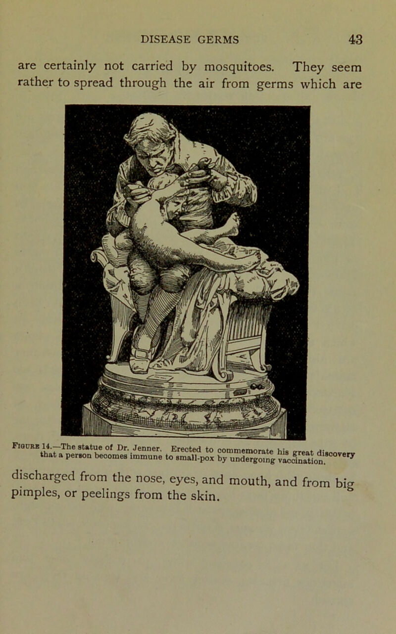 are certainly not carried by mosquitoes. They seem rather to spread through the air from germs which are Fiqdrb 14.-The sUtue of Dr. Jenner. Erected to commemorate his ereat that a person becomes immune to small-pox by undergoing vacdnatLn. ^ discharged from the nose, eyes, and mouth, and from big pimples, or peelings from the skin.