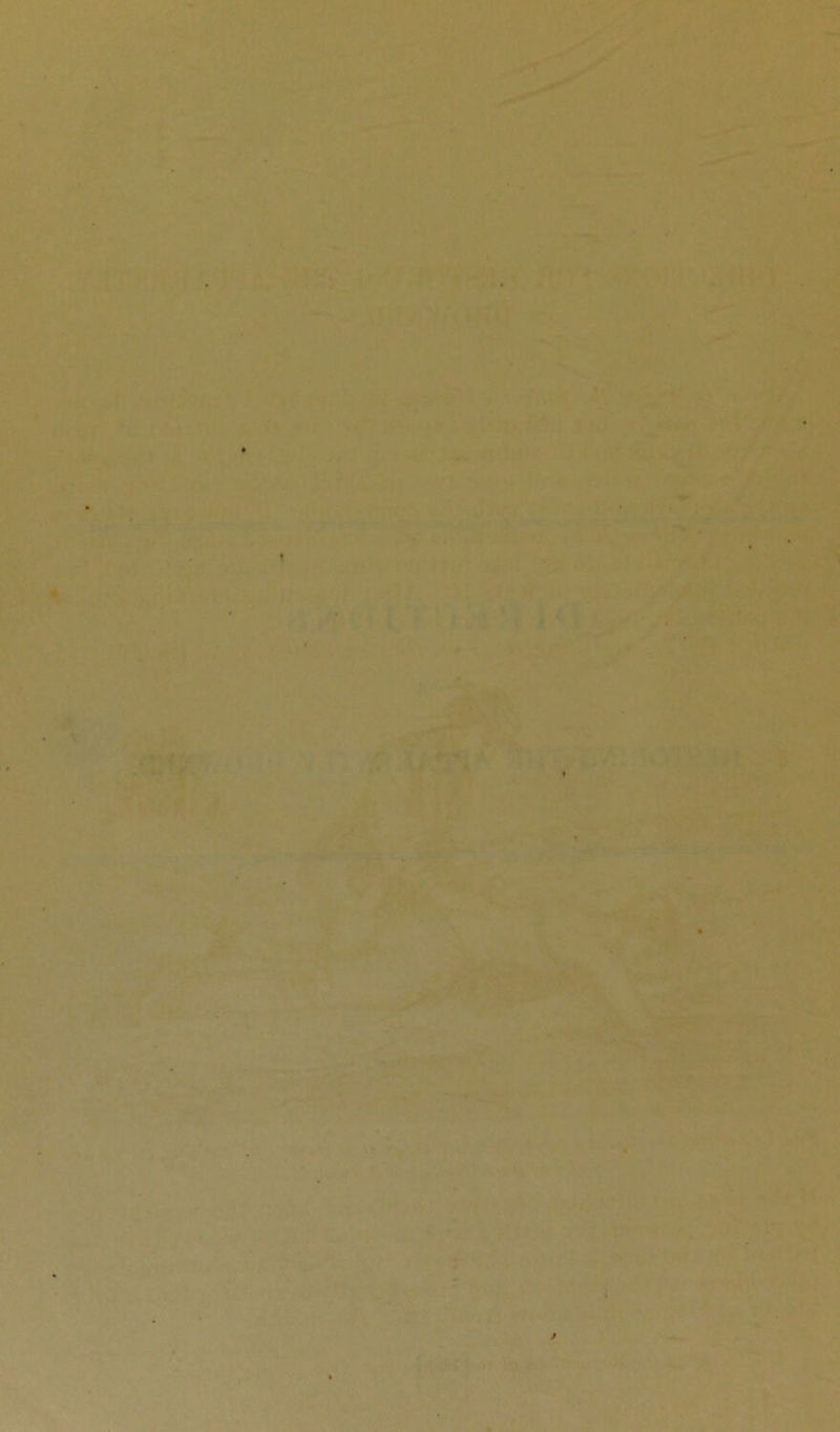 •. \Vi ■4'.^ •?• ''' ^ : • s ,» i' . . u- f, ■.>'.'■■ • ,'» \. '■^r • k * »\ ■ T^je? ^