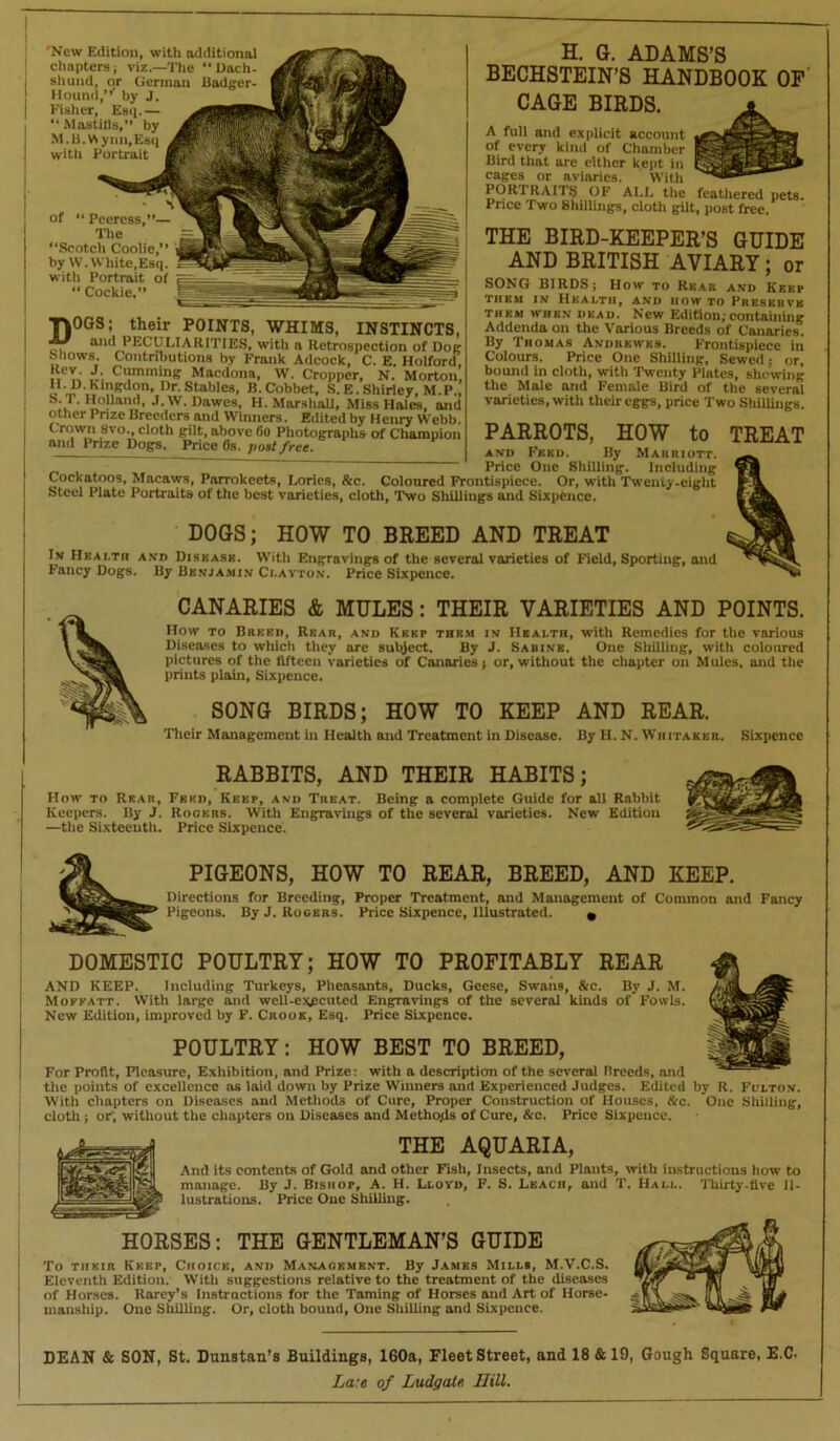 'New Edition, with additional chapters; viz.—The “Dach shund, or German Badger Hound,”’ by J. Fisher, Esij.— “Mastills,” by M.U.Wynn,Es<| with Portrait H. G. ADAMS’S BECHSTEIN’S HANDBOOK OF' CAGE BIRDS. mm A full and e.xplicit account of every kind of Chamber Bird that are either kept in cages or aviaries. With PORTRAITS OF ALL the feathered pets. Price Two Shillings, cloth gilt, post free. THE BIRD-KEEPER’S GUIDE AND BRITISH AVIARY; or SONG BIRDS; How to Rkar and Kbbp THBM IN HKALTH, AND HOWTO PrBSKBVB THBM WHEN DEAD. New Edition;Containing Addenda on the Various Breeds of Canaries. By Thomas Andrkwks. Frontispiece in Colours. Price One Shilling, Sewed; or, bound in cloth, with Twenty Plates, shewing the Male and Female Bird of the several varieties, with their eggs, price Two Shillings. PARROTS, HOW to TREAT and Feed. By Marriott. Price One Shilling. Including Coloured Frontispiece. Or, with Tweuty-eiglit of “ Peeress,”— The ‘‘Scotch Coolie,” by W. White,Esq. with Portrait of =  Cockle,” “ T\0GS; their POINTS, WHIMS, INSTINCTS, OK peculiarities, with a Retrospection of Doe Shows. Contributions by Frank Adcock, C. E. Holford, Gumming Macdona, W. Cropper, N. Morton, Dr.Stables, B.Cobbet, S.E.Shirley, M.P., b.T. Holland, J.W. Dawes, H. Marshall, Miss Hales, and other Prize Breeders and Winners. Edited by Henry Webb. Crown 8vo., cloth gilt, above 6o Photographs of Champion and Prize Dogs. Price 0s. post free. Cockatoos, Macaws, Parrokeets, Lories, &c. v,uiuurcu ui, « Steel Plate Portraits of the best varieties, cloth, 'Two ShUlings and Sixpence. DOGS; HOW TO BREED AND TREAT In Health and Disease. With Engravings of the several varieties of Field, Sporting, and Fancy Dogs. By Benja.min Clayton. Price Sixpence. CANARIES & MULES: THEIR VARIETIES AND POINTS. How TO Breed, Rear, and Kerf the.m in Health, with Remedies for the various Diseases to which they are subject. By J. Sabine. One Shilling, with coloured pictures of the fifteen varieties of Canaries; or, without the chapter on Mules, and the prints plain. Sixpence. SONG BIRDS; HOW TO KEEP AND REAR. Tlieir Management in Health and Treatment in Disease. By H. N. Whitakkr. Sixpence RABBITS, AND THEIR HABITS; How TO Rear, Feed, Keep, and Treat. Being a complete Guide for all Rabbit Keepers. By J. Rooers. With Engravings of the several varieties. New Edition —the Sixteenth. Price Sixpence. PIGEONS, HOW TO REAR, BREED, AND KEEP. Directions for Breeding, Proper Treatment, and Management of Common and Fancy Pigeons. By J. Rooers. Price Sixpence, Illustrated. • DOMESTIC POULTRY; HOW TO PROFITABLY REAR '' AND KEEP. Including Turkeys, Pheasants, Ducks, Geese, Swans, &c. By J. M. Mofkatt. With large and well-expcuted Engravings of the several kinds of Fowls. New Edition, improved by F. Crook, Esq. Price Sixpence. POULTRY: HOW BEST TO BREED, For Profit, Pleasure, Exhibition, and Prize: with a description of the several Breeds, and the points of excellence as laid down by Prize Winners and Experienced Judges. Edited by R. Fl'lto.v. With chapters on Diseases and Methods of Cure, Proper Construction of Houses. &c. One Sliilling, cloth; or, without the chapters on Diseases and Methods of Cure, &c. Price Sixpence. THE AQUARIA, And its contents of Gold and other Fish, Insects, and Plants, with instructions how to manage. By J. Bishop, A. H. Lloyd, F. S. Leach, and T. Hall. Thirty-five Il- lustrations. Price One Shilling. HORSES: THE GENTLEMAN’S GUIDE To THEIR Kkep, Choice, and Management. By James Mills, M.V.C.S. Eleventh Edition. With suggestions relative to the treatment of the diseases of Horses. Rarey’s Instructions for the Taming of Horses and Art of Horse- manship. One Shilling. Or, cloth bound. One Shilling and Sixpence. DEAN & SON, St. Dunstan’s Buildings, 160a, Fleet Street, and 18 & 19, Gough Square, E.C. La:e of Ludgatr, Hill.
