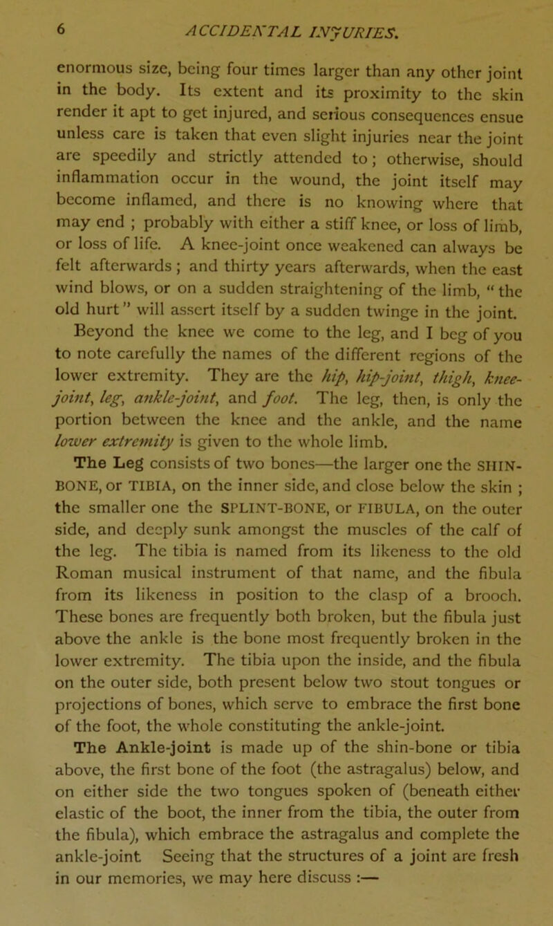 enormous size, being four times larger than any other joint in the body. Its extent and its proximity to the skin render it apt to get injured, and serious consequences ensue unless care is taken that even slight injuries near the joint are speedily and strictly attended to; otherwise, should inflammation occur in the wound, the joint itself may become inflamed, and there is no knowing where that may end ; probably with either a stiff knee, or loss of limb, or loss of life. A knee-joint once weakened can always be felt afterwards ; and thirty years afterwards, when the east wind blows, or on a sudden straightening of the limb, “ the old hurt ” will assert itself by a sudden twinge in the joint. Beyond the knee we come to the leg, and I beg of you to note carefully the names of the different regions of the lower extremity. They are the hip, hip-joint, thigh, knee- joint, leg, ankle-joint, and foot. The leg, then, is only the portion between the knee and the ankle, and the name lozuer extremity is given to the whole limb. The Leg consists of two bones—the larger one the SHIN- BONE, or tibia, on the inner side, and close below the skin ; the smaller one the SPLINT-BONE, or FIBULA, on the outer side, and deeply sunk amongst the muscles of the calf of the leg. The tibia is named from its likeness to the old Roman musical instrument of that name, and the fibula from its likeness in position to the clasp of a brooch. These bones are frequently both broken, but the fibula just above the ankle is the bone most frequently broken in the lower extremity. The tibia upon the inside, and the fibula on the outer side, both present below two stout tongues or projections of bones, which serve to embrace the first bone of the foot, the whole constituting the ankle-joint. The Ankle-joint is made up of the shin-bone or tibia above, the first bone of the foot (the astragalus) below, and on either side the two tongues spoken of (beneath either elastic of the boot, the inner from the tibia, the outer from the fibula), which embrace the astragalus and complete the ankle-joint Seeing that the structures of a joint are fresh in our memories, we may here discuss :—