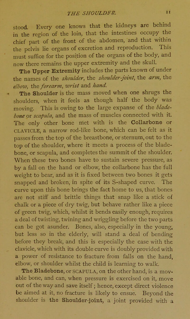 THE SHOULDFR. stood. Every one knows that the kidneys are behind in the region of the loin, that the intestines occupy the chief part of the front of the abdomen, and that within the pelvis lie organs of excretion and reproduction. This must suffice for the position of the organs of the body, and now there remains the upper extremity and the skull. The Upper Extremity includes the parts known of under the names of the shoulder, the shoulder-joint, the arm, the elbozv, the forearm, wrist and hand. The Shoulder is the mass moved when one shrugs the shoulders, when it feels as though half the body was moving. This is owing to the large expanse of the blade- bone or scapida, and the mass of muscles connected with it. The only other bone met with is the Collarbone or CLAVICLE, a narrow rod-like bone, which can be felt as it passes from the top of the breastbone, or sternum, out to the top of the shoulder, where it meets a process of the blade- bone, or scapula, and completes the summit of the shoulder. When these two bones have to sustain severe pressure, as by a fall on the hand or elbow, the collarbone has the full weight to bear, and as it is fixed between two bones it gets snapped and broken, in spite of its S-shaped curve. The curve upon this bone brings the fact home to us, that bones are not stiff and brittle things that snap like a stick of chalk or a piece of dry twig, but behave rather like a piece of green twig, which, whilst it bends easily enough, requires a deal of twisting, twining and wriggling before the two parts can be got asunder. Bones, also, especially in the young, but less so in the elderly, will stand a deal of bending before they break, and this is especially the case with the clavicle, which with its double curve is doubly provided with a power of resistance to fracture from falls on the hand, elbow, or shoulder whilst the child is learning to walk. The Bladebone, or SCAPULA, on the other hand, is a mov- able bone, and can, when pressure is exercised on it, move out of the way and save itself; hence, except direct violence be aimed at it, no fracture is likely to ensue. Beyond the shoulder is the Shoulder-joint, a joint provided with a