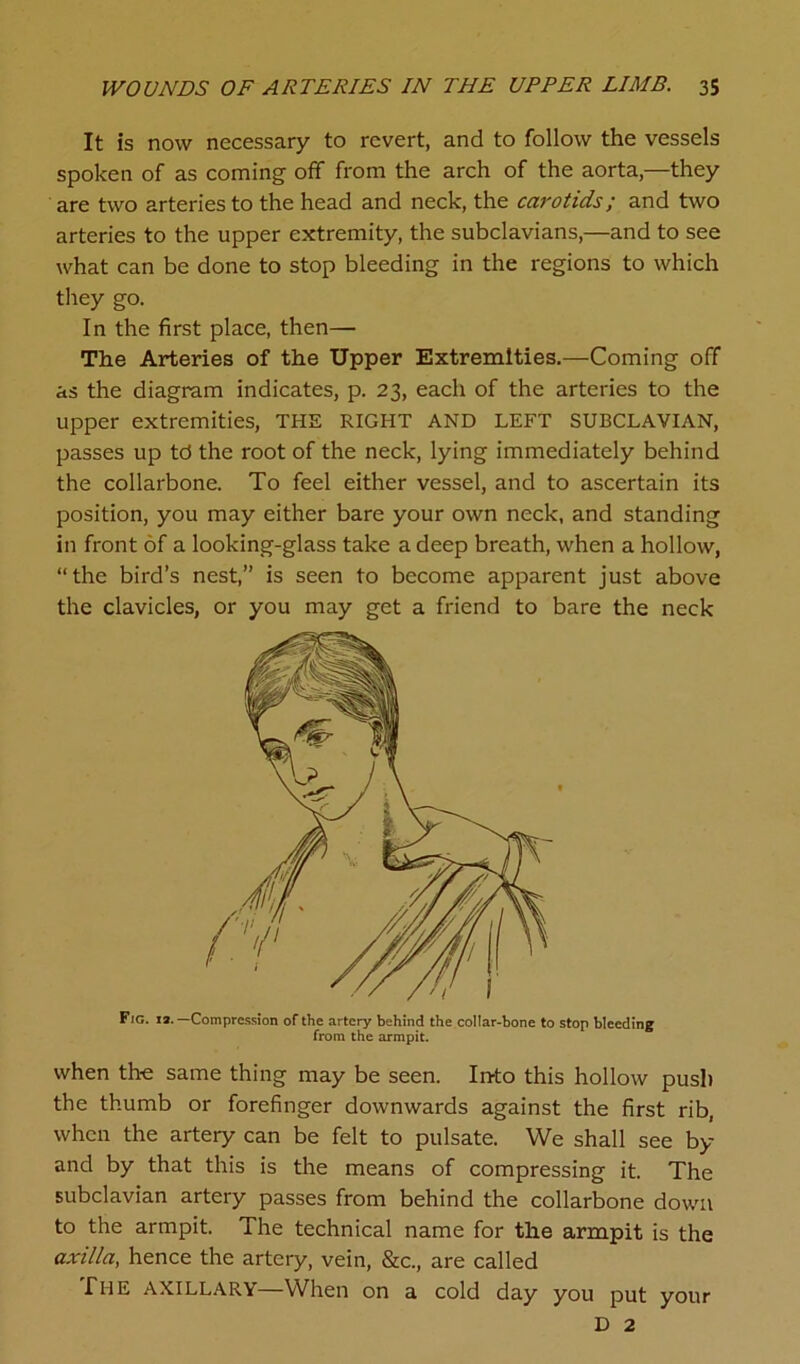 It is now necessary to revert, and to follow the vessels spoken of as coming off from the arch of the aorta,—they are two arteries to the head and neck, the carotids; and two arteries to the upper extremity, the subclavians,—and to see what can be done to stop bleeding in the regions to which they go. In the first place, then— The Arteries of the Upper Extremities.—Coming off as the diagram indicates, p. 23, each of the arteries to the upper extremities, THE RIGHT AND LEFT SUBCLAVIAN, passes up tci the root of the neck, lying immediately behind the collarbone. To feel either vessel, and to ascertain its position, you may either bare your own neck, and standing in front of a looking-glass take a deep breath, when a hollow, “the bird’s nest,” is seen to become apparent just above the clavicles, or you may get a friend to bare the neck Fig. 12.— Compression of the artery behind the collar-bone to stop bleeding from the armpit. when the same thing may be seen. Into this hollow push the thumb or forefinger downwards against the first rib, when the artery can be felt to pulsate. We shall see by and by that this is the means of compressing it. The subclavian artery passes from behind the collarbone down to the armpit. The technical name for the armpit is the axilla, hence the artery, vein, &c., are called The AXILLARY—When on a cold day you put your D 2