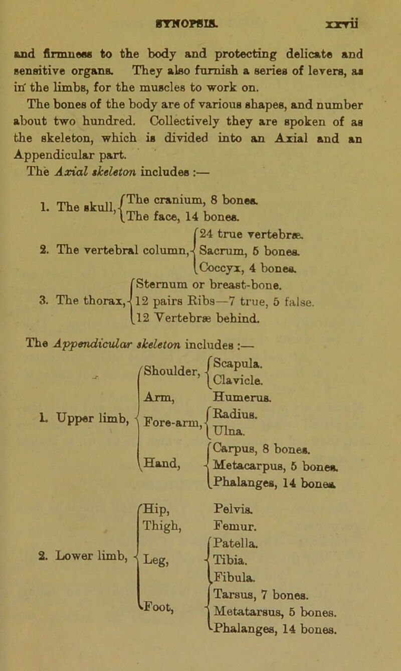 BTHOWIS. xxrii and firmnees to the body and protecting delicate and sensitive organs. They also furnish a series of levers, as irf the limbs, for the muscles to work on. The bones of the body are of various shapes, and number about two hundred. Collectively they are spoken of as the skeleton, which is divided into an Axial and an Appendicular part. The Axial skeleton includes :— , rm. i n /The cranium, 8 bones. 1. The .ku]l,(The ^ u ^ (24 true vertebrae. Sacrum, 6 bones. Coccyx, 4 bones. (Sternum or breast-bone. 12 pairs Ribs—7 true, 5 false. 12 Vertebrae behind. The Appendicular skeleton includes :— /Shoulder, (^P.U!a- /Clavicle. Humerus. f Radius. L Upper limb, -< Arm, Fore-arm Hand, /Hip, Thigh, 2. Lower limb, - jjeg) »Foot, ’/Ulna. (Carpus, 8 bones. Metacarpus, 5 bones. Phalanges, 14 bones. Pelvis. Femur, f Patella. Tibia. /Fibula. j Tarsus, 7 bones. I Metatarsus, 5 bones. '•Phalanges, 14 bones.