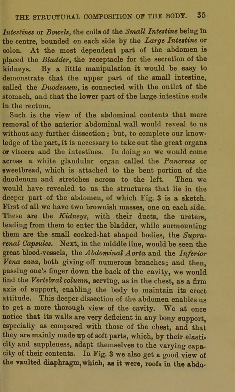 Intestines or Bowels, the coils of the Small Intestine being In the centre, bounded on each side by the Large Intestine or colon. At the most dependent part of the abdomen is placed the Bladder, the receptacle for the secretion of the kidneys. By a little manipulation it would be easy to demonstrate that the upper part of the small intestine, called the Duodenum, is connected with the outlet of the stomach, and that the lower part of the large intestine ends in the rectum. Such is the view of the abdominal contents that mere removal of the anterior abdominal wall would reveal to us without any further dissection; but, to complete our know- ledge of the part, it is necessary to take out the great organs or viscera and the intestines. In doing so we would come across a white glandular organ called the Pancreas or sweetbread, which is attached to the bent portion of the duodenum and stretches across to the left. Then we would have revealed to us the structures that lie in the deeper part of the abdomen, of which Fig. 3 is a sketch. First of all we have two brownish masses, one on each side. These are the Kidneys, with their ducts, the ureters, leading from them to enter the bladder, while surmounting them are the small cocked-hat shaped bodies, the Supra- renal Capsules. Next, in the middle line, would be seen the great blood-vessels, the Abdominal Aorta and the Inferior Vena cava, both giving off numerous branches; and then, passing one’s finger down the back of the cavity, we would find the Vertebral column, serving, as in the chest, as a firm axis of support, enabling the body to maintain its erect attitude. This deeper dissection of the abdomen enables us to get a more thorough view of the cavity. We at once notice that its walls are very deficient in any bony support, especially as compared with those of the chest, and that they are mainly made up of soft parts, which, by their elasti- city and suppleness, adapt themselves to the varying capa- city of their contents. In Fig. 3 we also get a good view of the vaulted diaphragm, which, as it were, roofs in the abdo-