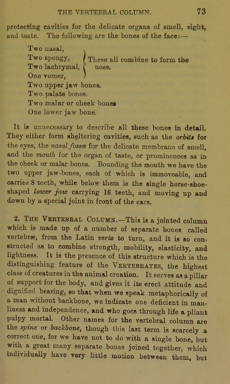 protecting cavities for the delicate organs of smell, sight, and taste. The following are the bones of the face:— Two nasal, . Two 6pongy, / These all combine to form the Two lachrymal, l nose. One vomer, 1 Two upper jaw bones. Two palate bones. Two malar or cheek bones One lower jaw bone. It is unnecessary to describe all these bones in detail. They either form sheltering cavities, such as the orbitt for the eyes, the nasal fossce for the delicate membrane of smell, and the mouth for the organ of taste, or prominences as in the cheek or malar bones. Bounding the mouth we have the two upper jaw-bones, each of which is immoveable, and carries 8 teeth, while below them is the single horse-shoe- shaped lower jaw carrying 16 teeth, and moving up and down by a special joint in front of the ears. 2. The Vertebral Column.—This is a jointed column which is made up of a number of separate bones called vertebrae, from the Latin verto to turn, and it is so con- structed as to combine strength, mobility, elasticity, and lightness. It is the presence of this structure which is the distinguishing feature of the Vertebrates, the highest class of creatures in the animal creation. It serves as a pillar of support for the body, and gives it ita erect attitude and dignified bearing, so that when we speak metaphorically of a man without backbone, we indicate one deficient in man- liness and independence, and who goes through life a pliant pulpy mortal. Other names for the vertebral column are the spine or backbone, though this last term is scarcely a correct one, for we have not to do with a single bone, but with a great many separate bones joined together, which individually have very little motion between them, but