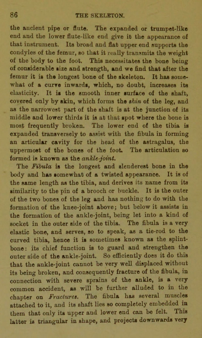 the ancient pipe or flute. The expanded or trumpet-like end and the lower flute-like end give it the appearance of that instrument. Its broad and flat upper end supports the condyles of the femur, so that it really transmits the weight of the body to the foot. This necessitates the bone being of considerable size and strength, and we find that after the femur it is ths longest bone of the skeleton. It has some- what of a curve inwards, which, no doubt, increases its elasticity. It is the smooth inner surface of the shaft, covered only by skin, which forms the skin of the leg, and as the narrowest part of the shaft is at the junction of its middle and lower thirds it is at that spot where the bone is most frequently broken. The lower end of the tibia is expanded transversely to assist with the fibula in forming an articular cavity for the head of the astragalus, the uppermost of the bones of the foot. The articulation so formed is known as the ankle-joint. The Fibula is the longest and slenderest bone in the body and has somewhat of a twisted appearance. It is of the same length as the tibia, and derives its name from its similarity to the pin of a brooch or buckle. It is the outer of the two bones of the leg and has nothing to do with the formation of the knee-joint above; but below it assists in the formation of the ankle-joint, being let into a kind of socket in the outer side of the tibia. The fibula is a very elastic bone, and serves, so to speak, as a tie-rod to the curved tibia, hence it is sometimes known as the splint- bone: its chief function is to guard and strengthen the outer side of the ankle-joint. So efficiently does it do this that the ankle-joint cannot be very well displaced without its being broken, and consequently fracture of the fibula, in connection with severe sprains of the ankle, is a very common accident, as will be further alluded to in the chapter on Fractures. The fibula has several muscles attached to it, and its shaft lies so completely embedded in them that only its upper and lower end can be felt. This latter is triangular in shape, and projects downwards very