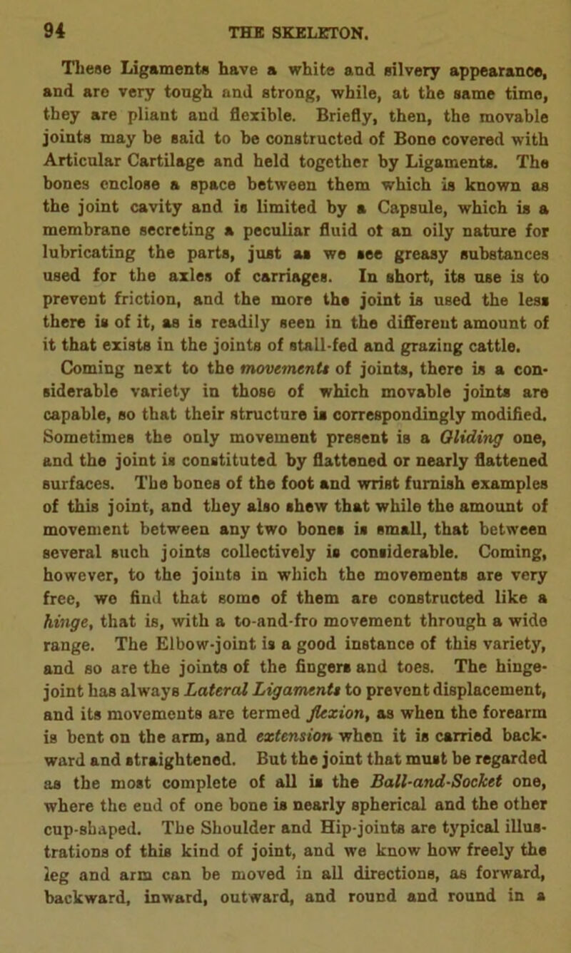 These Ligaments have a white and silvery appearance, and are very tough and strong, while, at the same time, they are pliant and flexible. Briefly, then, the movable joints may be said to be constructed of Bone covered with Articular Cartilage and held together by Ligaments. The bones enclose a space between them which is known as the joint cavity and is limited by a Capsule, which is a membrane secreting a peculiar fluid ot an oily nature for lubricating the parts, just as we see greasy substances used for the axles of carriages. In short, its use is to prevent friction, and the more the joint is used the less there is of it, as is readily seen in the different amount of it that exists in the joints of stall-fed and grazing cattle. Coming next to the movement* of joints, there is a con- siderable variety in those of which movable joints are capable, so that their structure is correspondingly modified. Sometimes the only movement present is a Gliding one, and the joint is constituted by flattened or nearly flattened surfaces. The bones of the foot and wrist furnish examples of this joint, and they also shew that while the amount of movement between any two bones is small, that between several such joints collectively is considerable. Coming, however, to the joints in which the movements are very free, we find that some of them are constructed like a hinge, that is, with a to-and-fro movement through a wide range. The Elbow-joint is a good instance of this variety, and so are the joints of the fingers and toes. The hinge- joint has always Lateral Ligamentt to prevent displacement, and its movements are termed flexion, as when the forearm is bent on the arm, and extension when it is carried back- ward and straightened. But the joint that must be regarded as the most complete of all is the Ball-and-Socket one, where the eud of one bone is nearly spherical and the other cup-sbaped. The Shoulder and Hip-joints are typical illus- trations of this kind of joint, and we know how freely the leg and arm can be moved in all directions, as forward, backward, inward, outward, and round and round in a