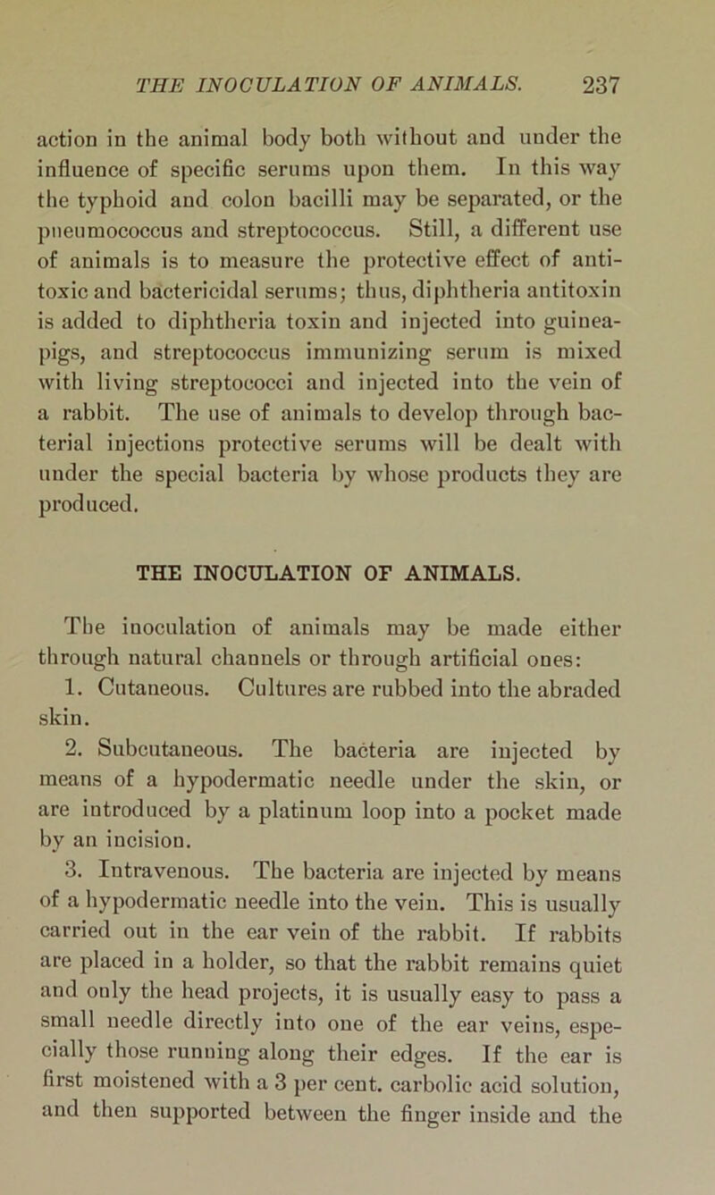 action in the animal body both without and under the influence of specific serums upon them. In this way the typhoid and colon bacilli may be separated, or the pneumococcus and streptococcus. Still, a different use of animals is to measure the protective effect of anti- toxic and bactericidal serums; thus, diphtheria antitoxin is added to diphtheria toxin and injected into guinea- pigs, and streptococcus immunizing serum is mixed with living streptococci and injected into the vein of a rabbit. The use of animals to develop through bac- terial injections protective serums will be dealt with under the special bacteria by whose products they are produced. THE INOCULATION OF ANIMALS. The inoculation of animals may be made either through natural channels or through artificial ones: 1. Cutaneous. Cultures are rubbed into the abraded skin. 2. Subcutaneous. The bacteria are injected by means of a hypodermatic needle under the skin, or are introduced by a platinum loop into a pocket made by an incision. 3. Intravenous. The bacteria are injected by means of a hypodermatic needle into the vein. This is usually carried out in the ear vein of the rabbit. If rabbits are placed in a holder, so that the rabbit remains quiet and only the head projects, it is usually easy to pass a small needle directly into one of the ear veins, espe- cially those running along their edges. If the ear is first moistened with a 3 per cent, carbolic acid solution, and then supported between the finger inside and the