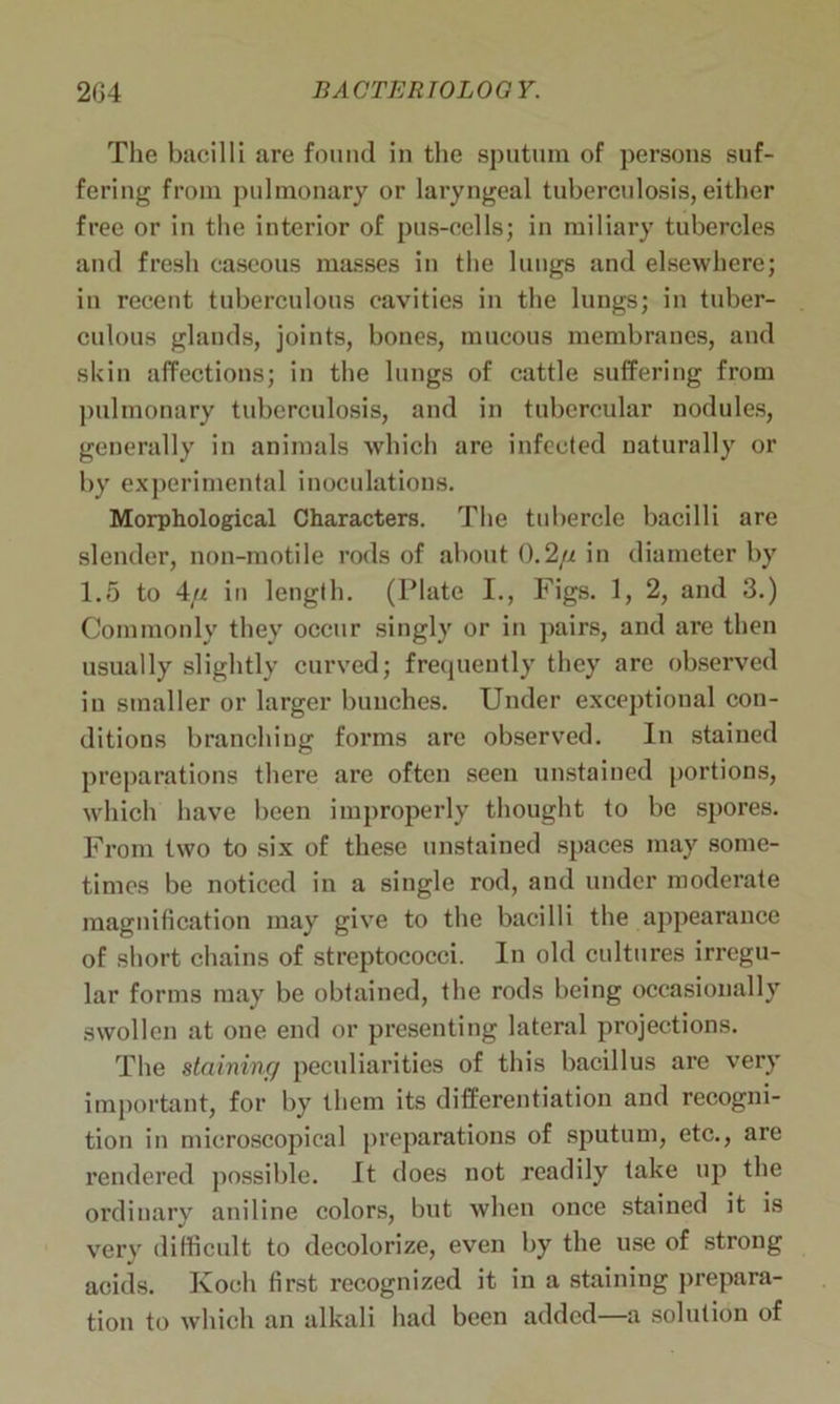 The bacilli are found in the sputum of persons suf- fering from pulmonary or laryngeal tuberculosis, either free or in the interior of pus-cells; in miliary tubercles and fresh caseous masses in the lungs and elsewhere; in recent tuberculous cavities in the lungs; in tuber- culous glands, joints, bones, mucous membranes, and skin affections; in the lungs of cattle suffering from pulmonary tuberculosis, and in tubercular nodules, generally in animals which are infected naturally or by experimental inoculations. Morphological Characters. The tubercle bacilli are slender, non-motile rods of about 0.2/i in diameter by 1.5 to 4(u in length. (Plate I., Figs. 1, 2, and 3.) Commonly they occur singly or in pairs, and are then usually slightly curved; frequently they are observed in smaller or larger bunches. Under exceptional con- ditions branching forms are observed. In stained preparations there are often seen unstained portions, which have been improperly thought to be spores. From two to six of these unstained spaces may some- times be noticed in a single rod, aud under moderate magnification may give to the bacilli the appearance of short chains of streptococci. In old cultures irregu- lar forms may be obtained, the rods being occasionally swollen at one end or presenting lateral projections. The staining peculiarities of this bacillus are very important, for by them its differentiation and recogni- tion in microscopical preparations of sputum, etc., are rendered possible. It does not readily take up the ordinary aniline colors, but when once stained it is very difficult to decolorize, even by the use of strong acids. Koch first recognized it in a staining prepara- tion to which an alkali had been added—a solution of