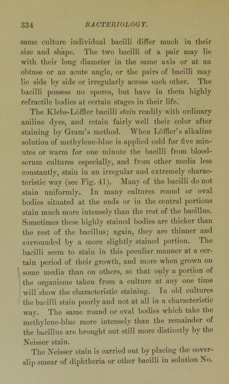 same culture individual bacilli differ much in their size and shape. The two bacilli of a pair may lie with their long diameter in the same axis or at an obtuse or an acute angle, or the pairs of bacilli may lie side by side or irregularly across each other. The bacilli possess no spores, but have in them highly refractile bodies at certain stages in their life. The Ivlebs-Loffler bacilli stain readily with ordinary aniline dyes, and retain fairly well their color after staining by Gram’s method. When Loffler’s alkaline solution of methylene-blue is applied cold for five min- utes or warm for one minute the bacilli from blood- serum cultures especially, and from other media less constantly, stain in an irregular and extremely charac- teristic way (see Fig. 41). Many of the bacilli do not stain uniformly. In many cultures round or oval bodies situated at the ends or in the central portions stain much more intensely than the rest of the bacillus. Sometimes these highly stained bodies are thicker than the rest of the bacillus; again, they are thinner and surrounded by a more slightly stained portion. I he bacilli seem to stain in this peculiar manner at a cer- tain period of their growth, and more when grown on some media than on others, so that only a portion of the organisms taken from a culture at any one time will show the characteristic staining. In old cultures the bacilli stain poorly and not at all in a characteristic way. The same rouud or oval bodies which take the methylene-blue more intensely than the remainder of the bacillus are brought out still more distinctly by the Neisser stain. The Neisser stain is carried out by placing the cover- slip smear of diphtheria or other bacilli in solution No.