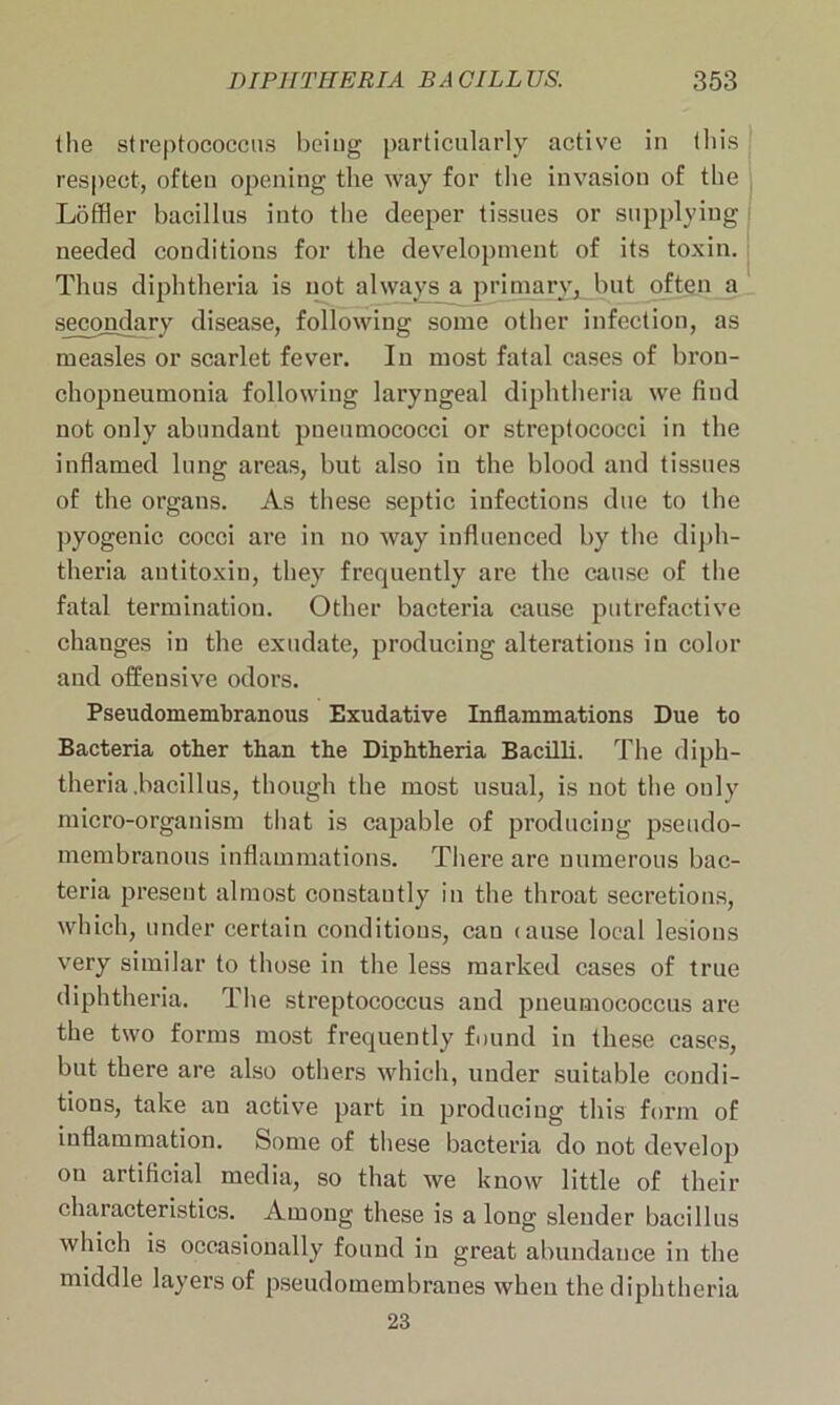 (he streptococcus being particularly active in this respect, often opening the way for the invasion of the Loftier bacillus into the deeper tissues or supplying needed conditions for the development of its toxin. Thus diphtheria is not always a primary* but often a secondary disease, following some other infection, as measles or scarlet fever. In most fatal cases of bron- chopneumonia following laryngeal diphtheria we fiud not only abundant pneumococci or streptococci in the inflamed lung areas, but also in the blood and tissues of the organs. As these septic infections due to the pyogenic cocci are in no way influenced by the diph- theria antitoxin, they frequently are the cause of the fatal termination. Other bacteria cause putrefactive changes in the exudate, producing alterations in color and offensive odors. Pseudomembranous Exudative Inflammations Due to Bacteria other than the Diphtheria Bacilli. The diph- theria .bacillus, though the most usual, is not the only micro-organism that is capable of producing pseudo- membranous inflammations. There are numerous bac- teria present almost constantly in the throat secretions, which, under certain conditions, cau (ause local lesions very similar to those in the less marked cases of true diphtheria. The streptococcus and pneumococcus are the two forms most frequently found in these cases, but there are also others which, under suitable condi- tions, take an active part in producing this form of inflammation. Some of these bacteria do not develop on artificial media, so that we know little of their characteristics. Among these is a long slender bacillus which is occasionally found in great abundance in the middle layers of pseudomembranes when the diphtheria 23