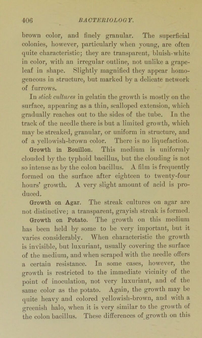 brown color, and finely granular. The superficial colonies, however, particularly when young, are often quite characteristic; they are transparent, bluish-white in color, with an irregular outline, not unlike a grape- leaf in shape. Slightly magnified they appear homo- geneous in structure, but marked by a delicate network of furrows. In stick cultures in gelatin the growth is mostly on the surface, appearing as a thin, scalloped extension, which gradually reaches out to the sides of the tube. In the track of the needle there is but a limited growth, which may be streaked, granular, or uniform in structure, and of a yellowish-brown color. There is no liquefaction. Growth in Bouillon. This medium is uniformly clouded by the typhoid bacillus, but the clouding is not so intense as by the colon bacillus. A film is frequently formed on the surface after eighteen to twenty-four hours’ growth. A very slight amount of acid is pro- duced. Growth on Agar. The streak cultures on agar are not distinctive; a transparent, grayish streak is formed. Growth on Potato. The growth on this medium has been held by some to be very important, but it varies considerably. When characteristic the growth is invisible, but luxuriant, usually covering the surface of the medium, and when scraped with the needle offers a certain resistance. In some cases, however, the growth is restricted to the immediate vicinity of the point of inoculation, not very luxuriant, and of the same color as the potato. Again, the growth may be quite heavy and colored yellowish-brown, and with a greenish halo, when it is very similar to the growth of the colon bacillus. These differences of growth on this