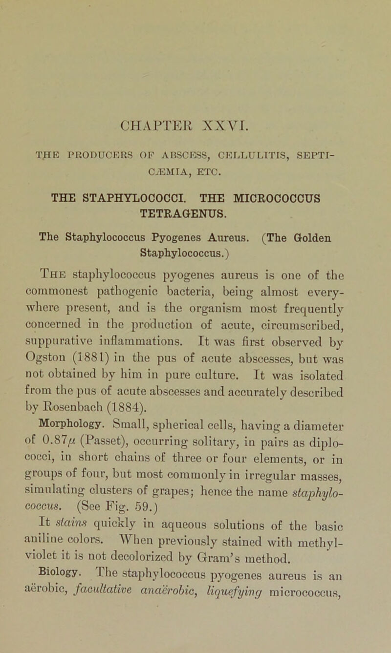 TJHE PRODUCERS OF ABSCESS, CELLULITIS, SEPTI- CAEMIA, ETC. THE STAPHYLOCOCCI. THE MICROCOCCUS TETRAGENUS. The Staphylococcus Pyogenes Aureus. (The Golden Staphylococcus.) The staphylococcus pyogenes aureus is one of the commonest pathogenic bacteria, being almost every- where present, and is the organism most frequently concerned in the production of acute, circumscribed, suppurative inflammations. It was first observed by Ogston (1881) in the pus of acute abscesses, but was not obtained by him in pure culture. It was isolated from the pus of acute abscesses and accurately described by Rosenbach (1884). Morphology. Small, spherical cells, having a diameter of 0.87fi (Passet), occurring solitary, in pairs as diplo- cocci, in short chains of three or four elements, or in groups of four, but most commonly in irregular masses, simulating clusters of grapes; hence the name staphylo- coccus. (See Fig. 59.) It stains quickly in aqueous solutions of the basic aniline colors. When previously stained with methyl- violet it is not decolorized by Gram’s method. Biology. The staphylococcus pyogenes aureus is an aerobic, facultative anaerobic, liquefying micrococcus,