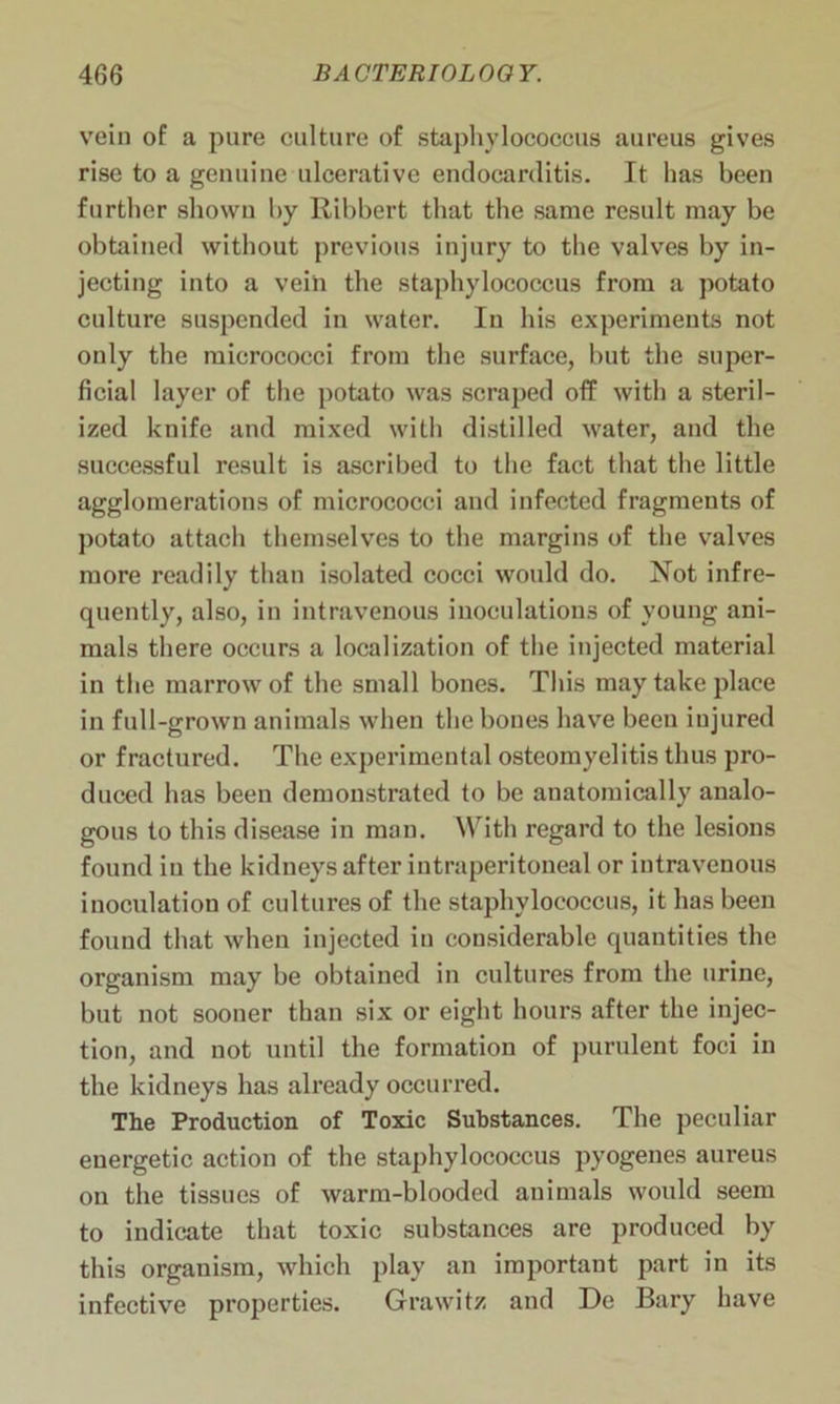 vein of a pure culture of staphylococcus aureus gives rise to a genuine ulcerative endocarditis. It has been further shown by Ribbert that the same result may be obtained without previous injury to the valves by in- jecting into a vein the staphylococcus from a potato culture suspended in water. In his experiments not only the micrococci from the surface, but the super- ficial layer of the potato was scraped off with a steril- ized knife and mixed with distilled water, and the successful result is ascribed to the fact that the little agglomerations of micrococci and infected fragments of potato attach themselves to the margins of the valves more readily than isolated cocci would do. Not infre- quently, also, in intravenous inoculations of young ani- mals there occurs a localization of the injected material in the marrow of the small bones. This may take place in full-grown animals when the bones have been injured or fractured. The experimental osteomyelitis thus pro- duced has been demonstrated to be anatomically analo- gous to this disease iu man. With regard to the lesions found in the kidneys after iutraperitoneal or intravenous inoculation of cultures of the staphylococcus, it has been found that when injected in considerable quantities the organism may be obtained in cultures from the urine, but not sooner than six or eight hours after the injec- tion, and not until the formation of purulent foci in the kidneys has already occurred. The Production of Toxic Substances. The peculiar energetic action of the staphylococcus pyogenes aureus on the tissues of warm-blooded animals would seem to indicate that toxic substances are produced by this organism, which play an important part in its infective properties. Grawitz and De Bary have