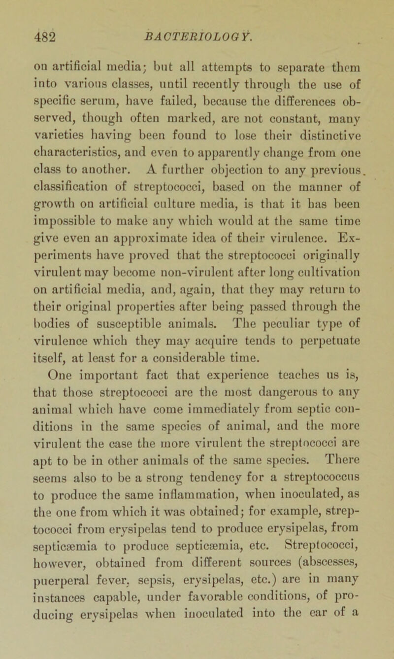 on artificial media; but all attempts to separate them into various classes, until recently through the use of specific serum, have failed, because the differences ob- served, though often marked, are not constant, many varieties having been found to lose their distinctive characteristics, and even to apparently change from one class to another. A further objection to any previous classification of streptococci, based on the manner of growtli on artificial culture media, is that it has been impossible to make any which would at the same time give even an approximate idea of their virulence. Ex- periments have proved that the streptococci originally virulent may become non-virulent after long cultivation on artificial media, and, again, that they may return to their original properties after being passed through the bodies of susceptible animals. The peculiar type of virulence which they may acquire tends to perpetuate itself, at least for a considerable time. One important fact that experience teaches us is, that those streptococci are the most dangerous to any animal which have come immediately from septic con- ditions in the same species of animal, and the more virulent the case the more virulent the streptococci are apt to be in other animals of the same species. There seems also to be a strong tendency for a streptococcus to produce the same inflammation, when inoculated, as the one from which it was obtained; for example, strep- tococci from erysipelas tend to produce erysipelas, from septicosmia to produce septicaemia, etc. Streptococci, however, obtained from different sources (abscesses, puerperal fever, sepsis, erysipelas, etc.) are in many instances capable, under favorable conditions, of pro- ducing erysipelas when inoculated into the ear of a