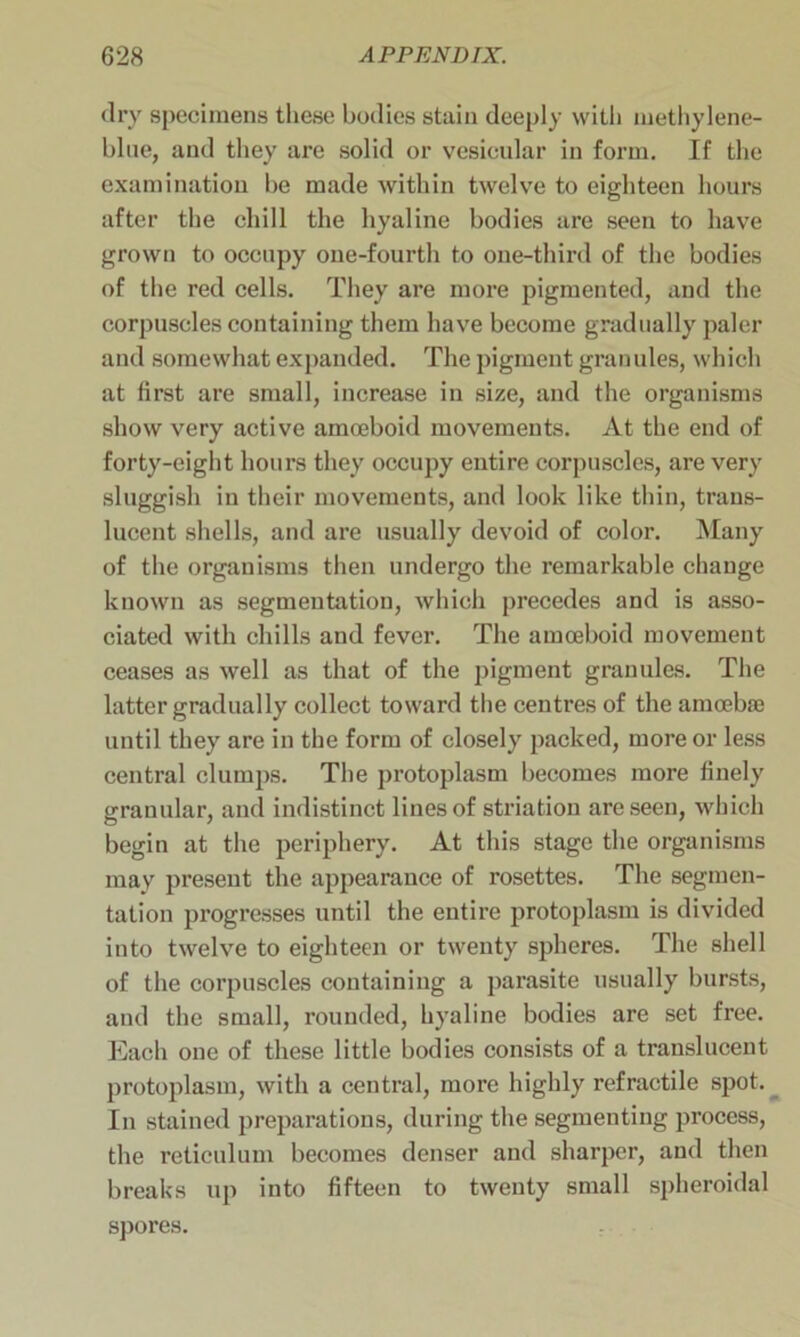 dry specimens these bodies stain deeply with methylene- hlne, and they are solid or vesicular in form. If the examination be made within twelve to eighteen hours after the chill the hyaline bodies are seen to have grown to occupy one-fourth to one-third of the bodies of the red cells. They are more pigmented, and the corpuscles containing them have become gradually paler and somewhat expanded. The pigment granules, which at first are small, increase in size, and the organisms show very active amoeboid movements. At the end of forty-eight hours they occupy entire corpuscles, are very sluggish in their movements, and look like thin, trans- lucent shells, and are usually devoid of color. Many of the organisms then undergo the remarkable change known as segmentation, which precedes and is asso- ciated with chills and fever. The amoeboid movement ceases as well as that of the pigment granules. The latter gradually collect toward the centres of the amoebae until they are in the form of closely packed, more or less central clumps. The protoplasm becomes more finely granular, and indistinct lines of striation are seen, which begin at the periphery. At this stage the organisms may present the appearance of rosettes. The segmen- tation progresses until the entire protoplasm is divided into twelve to eighteen or twenty spheres. The shell of the corpuscles containing a parasite usually bursts, aud the small, rounded, hyaline bodies are set free. Each one of these little bodies consists of a translucent protoplasm, with a central, more highly refractile spot. In stained preparations, during the segmenting process, the reticulum becomes denser and sharper, aud then breaks up into fifteen to twenty small spheroidal spores.