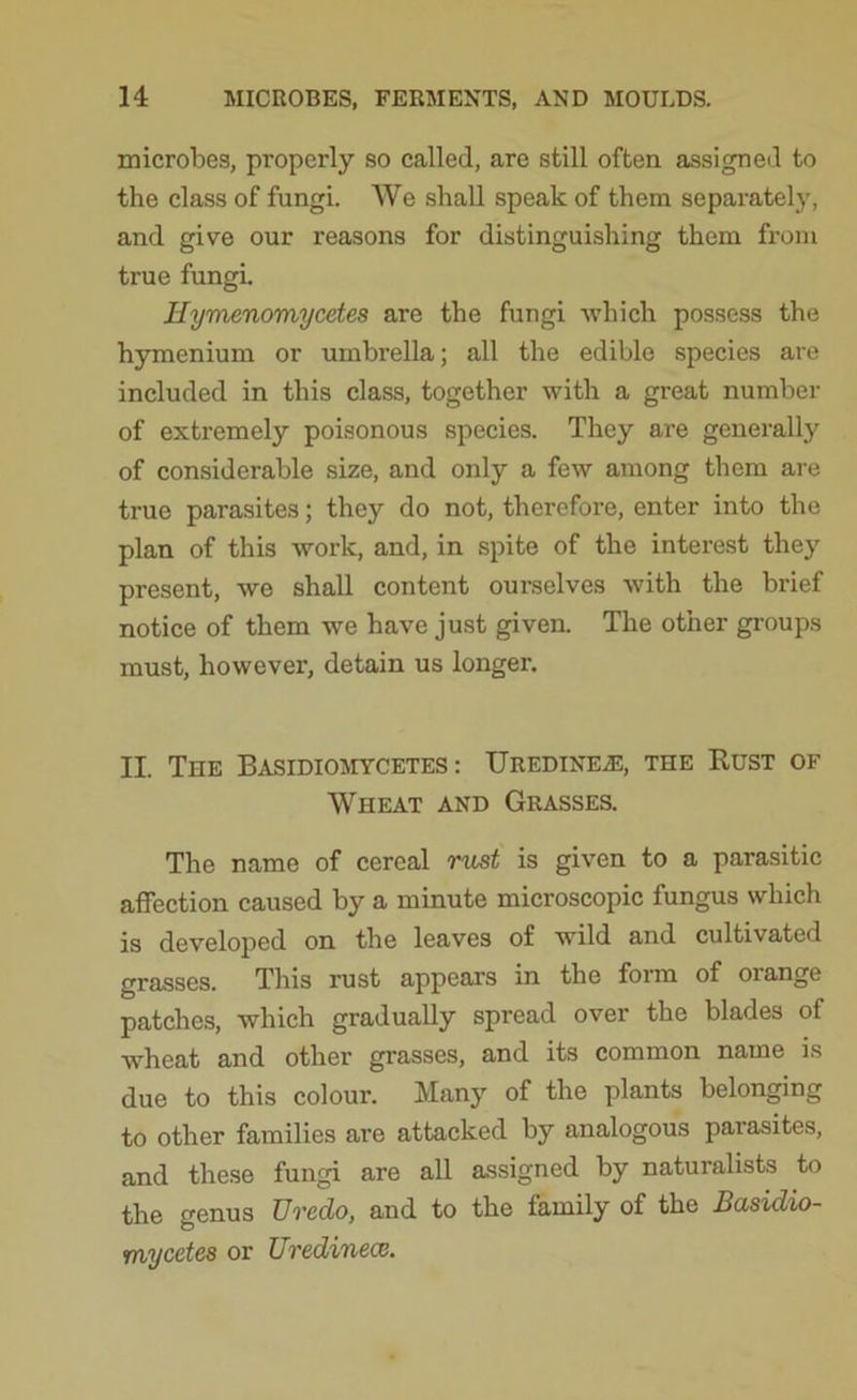 microbes, properly so called, are still often assigned to the class of fungi. We shall speak of them separately, and give our reasons for distinguishing them from true fungi. Hymenomycetes are the fungi which possess the hymenium or umbrella; all the edible species are included in this class, together with a great number of extremely poisonous species. They are generally of considerable size, and only a few among them are true parasites; they do not, therefore, enter into the plan of this work, and, in spite of the interest they present, we shall content ourselves with the brief notice of them we have just given. The other groups must, however, detain us longer. II. The Basidiomycetes : UredinejE, the Rust of Wheat and Grasses. The name of cereal rust is given to a parasitic affection caused by a minute microscopic fungus which is developed on the leaves of wild and cultivated grasses. This rust appears in the form of orange patches, which gradually spread over the blades of wheat and other grasses, and its common name is due to this colour. Many of the plants belonging to other families are attacked by analogous parasites, and these fungi are all assigned by naturalists to the genus Ureclo, and to the family of the Basidio- mycetes or UredinecB.