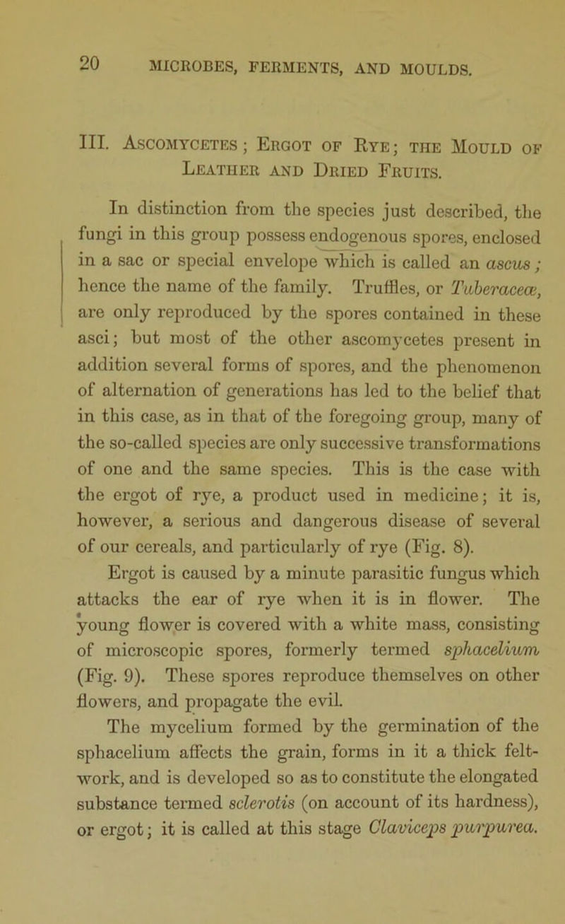 III. Ascomycetes; Ergot of Rye; the Mould of Leather and Dried Fruits. In distinction from the species just described, the fungi in this group possess endogenous spores, enclosed in a sac or special envelope which is called an ascus; hence the name of the family. Truffles, or Tuberacece, are only reproduced by the spores contained in these asci; but most of the other ascomycetes present in addition several forms of spores, and the phenomenon of alternation of generations has led to the belief that in this case, as in that of the foregoing group, many of the so-called species are only successive transformations of one and the same species. This is the case with the ergot of rye, a product used in medicine; it is, however, a serious and dangerous disease of several of our cereals, and particularly of rye (Fig. 8). Ergot is caused by a minute parasitic fungus which attacks the ear of l-ye when it is in flower. The young flower is covered with a white mass, consisting of microscopic spores, formerly termed sphacelium (Fig. 9). These spores reproduce themselves on other flowers, and propagate the evil. The mycelium formed by the germination of the sphacelium affects the grain, forms in it a thick felt- work, and is developed so as to constitute the elongated substance termed sclerotis (on account of its hardness), or ergot; it is called at this stage Claviceps purpurea.