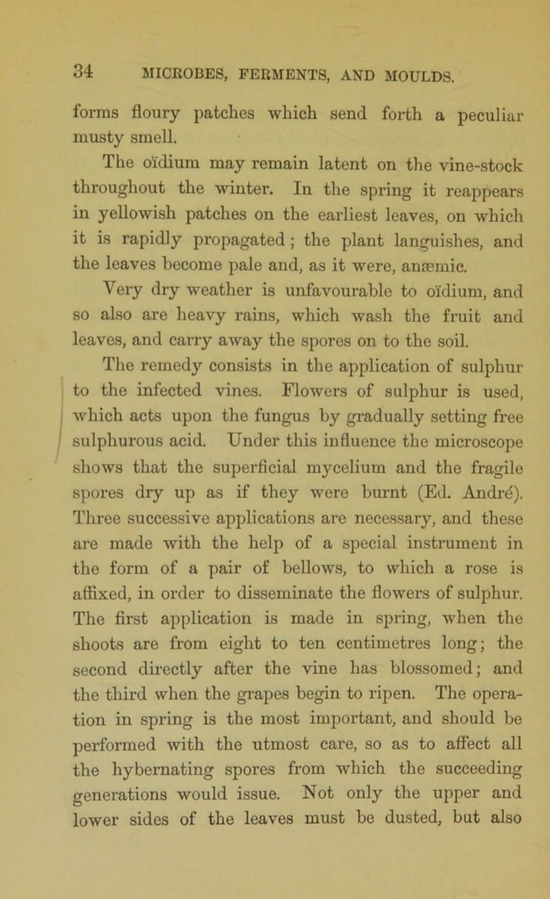 forms floury patches which send forth a peculiar musty smell. The oidium may remain latent on the vine-stock throughout the winter. In the spring it reappears in yellowish patches on the earliest leaves, on which it is rapidly propagated; the plant languishes, and the leaves become pale and, as it were, anaemic. Very dry weather is unfavourable to oklium, and so also are heavy rains, which wash the fruit and leaves, and carry away the spores on to the soil. The remedy consists in the application of sulphur to the infected vines. Flowers of sulphur is used, which acts upon the fungus by gradually setting free sulphurous acid. Under this influence the microscope shows that the superficial mycelium and the fragile spores dry up as if they were burnt (Ed. Andrd). Three successive applications are necessary, and these are made with the help of a special instrument in the form of a pair of bellows, to which a rose is affixed, in order to disseminate the flowers of sulphur. The first application is made in spring, when the shoots are from eight to ten centimetres long; the second directly after the vine has blossomed; and the third when the grapes begin to ripen. The opera- tion in spring is the most important, and should be performed with the utmost care, so as to affect all the hybernating spores from which the succeeding generations would issue. Not only the upper and lower sides of the leaves must be dusted, but also