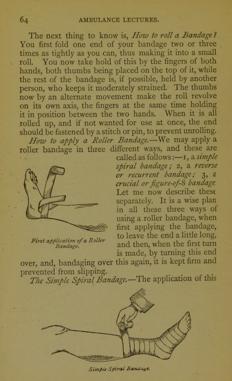 The next thing to know is, How to roll a Bandage ? You first fold one end of your bandage two or three times as tightly as you can, thus making it into a small roll. You now take hold of this by the fingers of both hands, both thumbs being placed on the top of it, while the rest of the bandage is, if possible, held by another person, who keeps it moderately strained. The thumbs now by an alternate movement make the roll revolve on its own axis, the fingers at the same time holding it in position between the two hands. When it is all rolled up, and if not wanted for use at once, the end should be fastened by a stitch or pin, to prevent unrolling. How to apply a Roller Bandage.—We may apply a roller bandage in three different ways, and these are over, and, bandaging over this again, it is kept firm and prevented from slipping. The Simple SpiralBandage—The application of this First application of a Roller Bandage. called as follows:—i, a simple spiral bandage; 2, a reverse or recurrent bandage; 3, a crucial orpigure-of-8 bandage. Let me now describe thest separately. It is a wise plan in all these three ways of using a roller bandage, when first applying the bandage, to leave the end a little long, and then, when the first turn is made, by turning this end Simpu Spirai Batuuige.