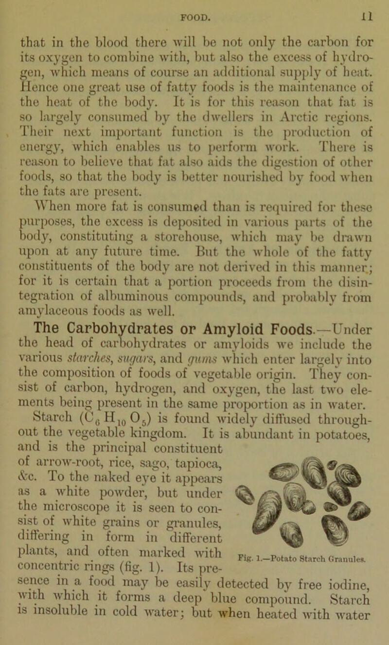 that in the blood there will be not only the carbon for its oxygen to combine with, but also the excess of hydro- gen, which means of course an additional supply of heat. Hence one great use of fatty foods is the maintenance of the heat of the body. It is for this reason that fat is so largely consumed by the dwellers in Arctic regions. Their next important function is the production of energy, which enables us to perform work. There is reason to believe that fat also aids the digestion of other foods, so that the body is better nourished by food when the fats are present. When more fat is consumed than is required for these purposes, the excess is deposited in various parts of the body, constituting a storehouse, which may be drawn upon at any future time. But the whole of the fatty constituents of the body are not derived in this manner.; for it is certain that a portion proceeds from the disin- tegration of albuminous compounds, and probably from amylaceous foods as well. The Carbohydrates or Amyloid Foods —Under the head of carbohydrates or amyloids we include the various starches, sugars, and gums which enter largely into the composition of foods of vegetable origin. They con- sist of carbon, hydrogen, and oxygen, the last two ele- ments being present in the same proportion as in water. Starch (C^H^Oj) is found widely diffused through- out the vegetable kingdom. It is abundant in potatoes, and is the principal constituent of arrow-root, rice, sago, tapioca, &c. To the naked eye it appears as a white powder, but under the microscope it is seen to con- sist of white grains or granules, differing in form in different plants, and often marked with concentric rings (fig. 1). Its pre- sence in a food may be easily detected by free iodine, with which it forms a deep blue compound. Starch is insoluble in cold water; but when heated with water Fig. 1.—Potato Stnrch Granules.