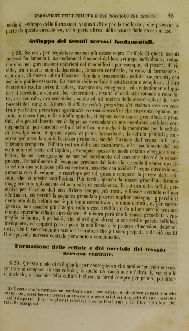 modo di sviluppo (lolle formazioni vaginali (1) e por la mollezza , clic proviene in parte da questa circostanza, ed in parte altresì dalla natura delle stesse masse. Sviluppo del tessuti nervosi fondamentali. § 24. Se ora, per acquistare nozioni più estese sopra l'ufficio di questi tessuti nervosi fondamentali, ascendiamo ai fenomeni del loro sviluppo individuale, vedia- mo che, nei giovanissimi embrioni dei mammiferi, per esempio, di pecora, di vi- tello, tra i nostri animali domestici, la massa cerebrale, in corso di formazione , contiene, di mezzo ad un blastoma liquido c trasparente, cellule trasparenti, con nocciolo giallo-rossastro. La parete delle cellule è sottilissima c semplice ; il loro contenuto risulta privo di colore, trasparente, omogeneo , ed evidentemente liqui- do ; il nocciolo, a contorni ben determinati, risulta d’ordinario rotondo o rotonda- to, ora centrale, ora eccentrico, solido cd all'incirca dello stesso colore dei cor- puscoli del sangue. A Uomo di siffatte cellule primitive del sistema nervoso cen- trale (-ccllulae pnmitivae systematis nervosi cenlralis) che ritrovansi egualmente sotto lo stesso tipo, nella midolla spinale, si depone certa massa granellata, a grani fini, clic probabilmente non ò dapprima circondata da una membrana cellulosa cor- rispondente, per ciascuna cellula primitiva, a ciò clic è la membrana per la cellula di ravvolgimento. A questa epoca di prima formazione , la cellula primitiva con- serva per anco la sua delicatezza primaria, sicché l’azione dell’acqua la fa sul- l’istante scoppiare. Siffatta rottura della sua membrana, c lo spandiinento del suo contenuto nel resto del liquido, avvengono spesso in modo cotanto energico e sol- lecito, da non accorgersene se non pel movimento del nocciolo clic n’ò la conse- guenza. Probabilmente il fenomeno proviene dal fatto che essendo il contenuto del- la cellula una soluzione più concentrala, assorbe con avidità l’acqua circonvicina aumenta cosi di volume, e costringe per tal guisa a rompersi la parete della cel- lula, che si mostra sottilissima. Più tardi, quando la massa cT.-inidlain Formazione delle eellule c del nocciolo del tessuto  W.J.UOI.U.U ..muso centrale pervenuto a compimento. nervoso centrale. tseguenza r he ogni corpuscolo nervoso : ne racchiude un’altra. É verisimile si formi sempre per primo, poi attor- ia Ivotta seotgunsi. vaginale quasi non esiste. A decidere se essa manchi , mie roseo] ii i ancora migliori di quelli,di cui possiamo s merlisi i corpi fusiformi a lo fibre cellulose die