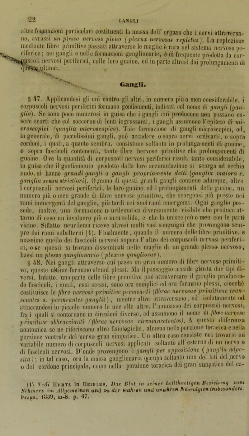 GANGLI ;i 1 tre Comunioni particolari costituenti In massa dell’ organo che i nervi atlravorsa- no, avrassi un plesso nervoso pieno ( ptexux nervosus repletus). La rcplezione mediante libre primitive passati attraverso le maglie è rara nel sistema nervoso pe- riferico; nei gangli e nelle formazioni ganglionarie, è di frequente prodotta da cor- Jgcoli nervosi periferici, colle loro guaine, ed in parte altresì dai prolungamenti di ultime. Ornigli. § 'l7. Applicandosi gli uni contro gli altri, in numero pino mcn considerabile, i corpuscoli nervosi periferici formano gonfiamenti, indicali col nome di gangli [gan- glio). Se sono poco numerosi in guisa clic i gangli cui producono non possano es- sere scorti che col soccorso di lenti ingrossanti, i gangli assumono epiteto dr mi- croscopici (ganglio microscopica). Tale formazione di gangli microscopici, od, ingenerale, di piccolissimi gangli, può accadere o sopra nervi ordinar», o sopra cordoni, i quali, a quanto sembra, consistono soltanto in prolungamenti di guaine, 0 sopra fascicoli contenenti, tanto libre nervose primitive che prolungamenti di guaine. Ove la quantità di corpuscoli nervosi periferici risulti tanto considerabile, in guisa che il gonfiamento prodotto dalla loro accumulazione si scorga ari occhio mulo, si hanno grandi gangli o gangli propriamente detti (ganglio malora s-. ganglio sensu stricliori). Ognuno di questi grandi gangli contiene adunque, oltre 1 corpuscoli nervosi periferici, le loro guaine ed i prolungamenti delle guaine, un numero più o inen grande di fibre nervose primitive, che scorgonsi più presto nei rami immergenti del ganglio, più tardi nei smurami emergenti. Ogni ganglio pos- sedè, inoltre, una formazione m urilemalica diversamente visibile che produce at- torno di esso un involucro più o uien solido, e che lo unisce più o men con le parli vicine. Siffatto neurilema riceve altresì molti vasi sanguigni che pi evengono sem- pre dai rami subalterni (1). Finalmente, quando il numero delle libre primitive, e massime quello dei fascicoli nervosi supera l’altro dei corpuscoli nervosi periferi- ci, ose quésti si trovano disseminati nelle maglie di un grande plesso nervoso, bassi un plesso ganglionario ( plexns gangliosus). § -18. Mei gangli attraverso cui passa un gran numero ili fibre nervose primiti- ve, queste uKime formano alcuni plessi. Ma il passaggio accade giusta due tipi di- versi. Infililo, una parte delle libre primitive può attraversare il ganglio produceiv- do fascicoli, i quali, essi stessi, sono ora semplici ed ora formano plessi, ciocché cosiiIniscc le fibre nervose primitive permeanti (flbrae nervosae prùnitivae Iran- scunlcs s. pcrmeantes gongili), mentre altre attraversano, od isolatamente od attaccandosi in piccolo numero le une alle altre, l’ammasso dei corpuscoli nervosi, fra i quali si contornano in direzioni diverse, ed assumono il nome di fibre nervose primitive abbracciatiti (fibrac nervosae circumnectcntas). A questa differenza anatomica se ne riferiscono altre fisiologiche, almeno nella porzione loraeica c nel la porzione ventrale del nervo gran simpatico. Un altro caso consiste nel trovarsi un variabile numero di corpuscoli nervosi applicali soltanto all esterno di mi nervo o di fascicoli nervosi. D’onde provengono i gangli per apposizione (gang'in adpo- sila ) ; in tal caso, ora la massa ganglionaria qccupa soltanto uno dei lati del nervo o del cordone principale, come nella porzione toracica del gran simpatico del ca- (1) Vedi IIyhtl in IIeidler, Dos Plot in sciner heilthaetigtn Besiehnng snm Selline, re im Allgcmeinen unti su der uahitn unii uweAre» Aeurulgien insbesondere. l’rugu, 1<j39, iu-8. p, “17.