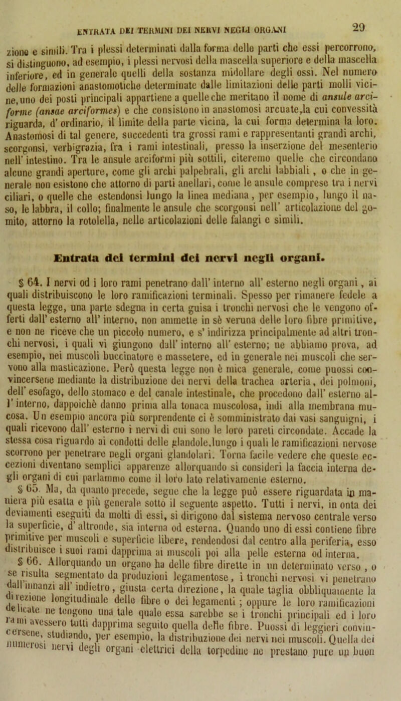 20 ENTRATA DEI TERMINI DEI NERVI NEGRI ORGANI ziono e simili. Tra i plessi determinati dalla forma dello parti che essi percorrono, si distinguono, ad esempio, i plessi nervosi della mascella superiore e della mascella inferiore, ed in generale quelli della sostanza midollare degli ossi. Nel numero delle formazioni anastomoticho determinate dalle limitazioni delle parti molli vici- ne, uno dei posti principali appartiene a quelle che meritano il nome di ansule arci- forme (ansae arciforrnes) e che consistono in anastomosi arcuatela cui convessità riguarda, d’ ordinario, il limite della parte vicina, la cui forma determina la loro. Anastomosi di tal genere, succedenti tra grossi rami e rappresentanti grandi archi, scorgonsi, verbigruzia, fra i rami intestinali, presso la inserzione del mesenterio nell’ intestino. Tra le ansule arciformi più sottili, citeremo quelle che circondano alcune grandi aperture, come gli archi palpebrali, gli archi labbiali, o che in ge- nerale non esistono che attorno di parti anellari, come le ansule comprese tra i nervi ciliari, o quelle che estendonsi lungo la linea mediana, per esempio, lungo il na- so, le labbra, il collo; finalmente le ansule che scorgonsi nell' articolazione del go- mito, attorno la rotolella, nelle articolazioni delle falangi c simili. Entrala del termini dei nervi negli organi. § 64. I nervi od i loro rami penetrano dall’ interno all’ esterno negli organi, ai quali distribuiscono le loro ramificazioni terminali. Spesso per rimanere fedele a questa legge, una parte sdegna in certa guisa i tronchi nervosi che le vengono of- ferti dall’esterno all’ interno, non ammette in sè veruna delle loro fibre primitive, e non ne riceve che un piccolo numero, e s’indirizza principalmente ad altri tron- chi nervosi, i quali vi giungono dall’ interno all’ esterno; ne abbiamo prova, ad esempio, nei muscoli buccinatile e massetere, ed in generale nei muscoli che ser- vono alla masticazione. Perù questa legge non è mica generale, come puossi con- vincersene mediante la distribuzione dei nervi della trachea arteria, dei polmoni, dell esofago, dello stomaco e del canale intestinale, che procedono dall’ esterno al- l’interno, dappoiché danno prima alla tonaca muscolosa, indi alla membrana mu- cosa. Un esempio ancora più sorprendente ci è somministrato dai vasi sanguigni, i quali ricevono dall’ esterno i nervi di cui sono le loro pareli circondate. Accade la stessa cosa riguardo ai condotti delle piandole.lungo i quali le ramificazioni nervose scorrono per penetrare negli organi glandolali. Torna lucile vedere che queste ec- cezioni diventano semplici apparenze allorquando si consideri la faccia interna de- gli organi di cui parlammo come il loro lato relativamente esterno, § 6ó Ma, da quanto precede, segue che la legge può essere riguardata io ma- niera più esatta e più generale sotto il seguente aspetto. Tutti i nervi, in onta dei deviamenti eseguiti da molti di essi, si dirigono dal sistema nervoso centrale verso la superficie, d altronde, sia interna od esterna. Quando uno di essi contiene fibre primitive per muscoli e superficie libere, rendendosi dal centro alla periferia, esso distribuisce i suoi rumi dapprima ai muscoli poi alla pelle esterna od interna. § 66. Allorquando un organo ha delle fibre dirette in un determinato verso , o se risulta segmentato da produzioni legamentose , i tronchi nervosi vi penetrano dall innanzi all’ indietro, giusta certa direzione, la quale taglia obbliquamente la (,‘l,ezi“ne longitudinale delle fibre o dei legamenti ; oppure” le loro ramificazioni nate ne tengono una tale quale essa sarebbe se i tronchi principali ed i loro cers..aVeSSfr? tal,li (';lPl,r‘ma scgu'to finella defìo fibre. Puossi di leggieri convin- 'e, studiando, per esempio, la distribuzione dei nervi nei muscoli. Quella ilei