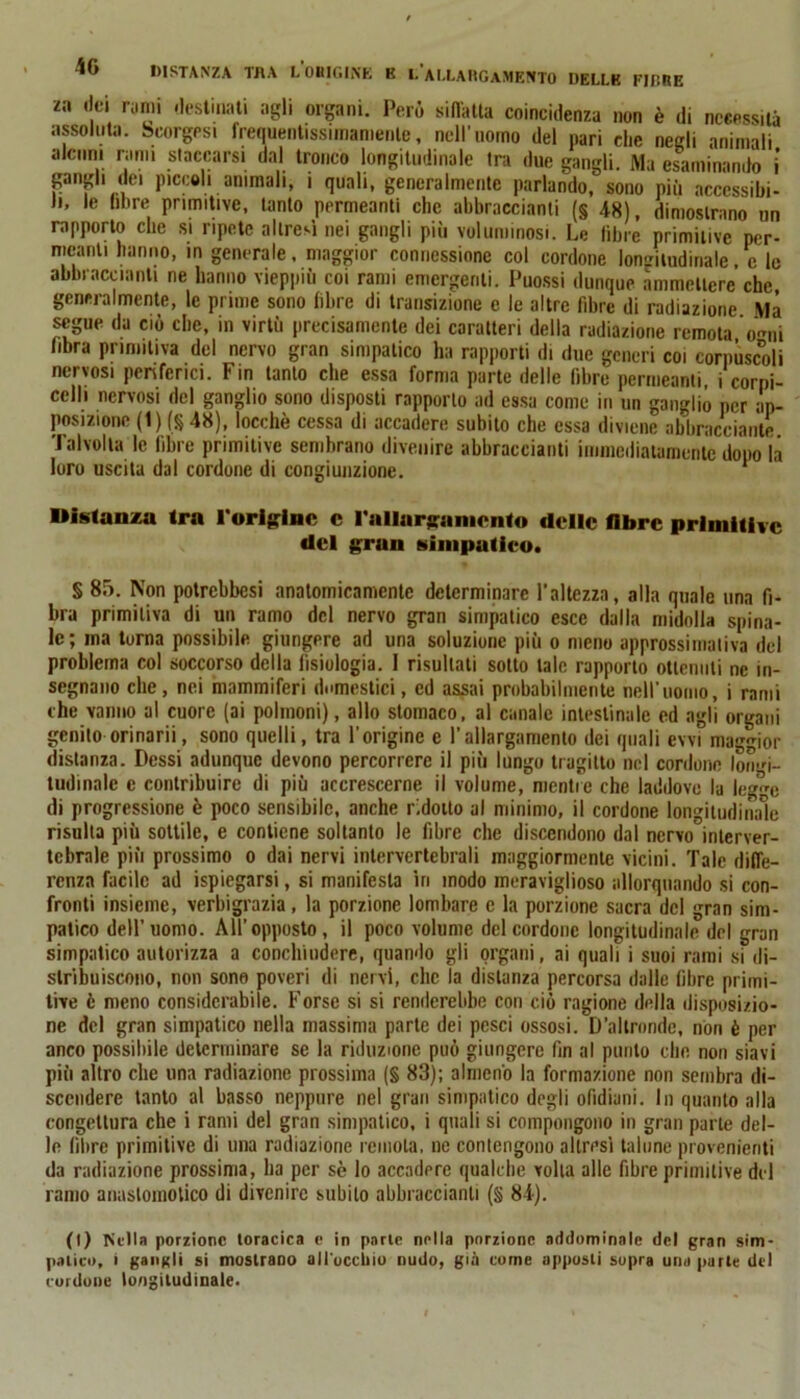 4G DISTANZA TUA L ORIGINE K LALLARGAMENTO DELLE FIERE zn dei rami destinati agli organi. Però siffatta coincidenza non è di necessità assoluta, Sscorgesi frequentissimamenle, nell’nomo del nari che negli animali alcuni rami staccarsi dal tronco longitudinale tra due gangli. Ma esaminando i gangli ilei piccoli ammali, i quali, generalmente parlando,' sono più accessibi- li, le libre primitive, tanto permeanti che abbracciami (§ 48), dimostrano un rapporto che si ripete altresì nei gangli più voluminosi. Le fibre primitive per- meanti hanno, in generale, maggior connessione col cordone longitudinale, e le abbracciami ne hanno vieppiù coi rami emergenti. Puossi dunque ammettere che generalmente, le prime sono fibre di transizione c le altre fibre di radiazione \là segue da ciò che, in virtù precisamente dei caratteri della radiazione remota ornii fibra primitiva del nervo gran simpatico ha rapporti di due generi coi corpùscoli nervosi periferici. Fin tanto che essa forma parte delle libre permeanti, i corpi- celli nervosi del ganglio sono disposti rapporto ad essa come in un ganglio per ap- posizione (1) (§ 48), locchè cessa di accadere subito che essa diviene abbracciarne Talvolta le fibre primitive sembrano divenire abbracciami immediatamente dopo la loro uscita dal cordone di congiunzione. 1 Distanza tra l'origine c t'allargamcnto dello libre primitive del gran simpatico. S 85. Non potrebbesi anatomicamente determinare l’altezza, alla quale una fi- bra primitiva di un ramo del nervo gran simpatico esce dalla midolla spina- le; ma torna possibile giungere ad una soluzione più o meno approssimativa del problema col soccorso della fisiologia. 1 risultati sotto tale rapporto ottenuti ne in- segnano clic, nei mammiferi domestici, ed assai probabilmente nell’uomo, i rami che vanno al cuore (ai polmoni), allo stomaco, al canale intestinale ed agli organi genito orinarii, sono quelli, tra l'origine e l’allargamento dei quali ewi maggior distanza. Dessi adunque devono percorrere il più lungo tragitto nel cordone longi- tudinale e contribuire di più accrescerne il volume, mentre che laddove la legc di progressione è poco sensibile, anche ridotto al minimo, il cordone longitudinale risulta più sottile, e contiene soltanto le fibre che discendono dal nervo interver- tebrale più prossimo o dai nervi intervertebrali maggiormente vicini. Tale diffe- renza facile ad Spiegarsi, si manifesta iri modo meraviglioso allorquando si con- fronti insieme, verbigrazia, la porzione lombare e la porzione sacra del gran sim- patico dell’uomo. All’opposto, il poco volume del cordone longitudinale del gran simpatico autorizza a concliindere, quando gli organi, ai quali i suoi rami si di- stribuiscono, non sono poveri di nervi, clic la distanza percorsa dalle fibre primi- tive è meno considerabile. Forse si si renderebbe con ciò ragione della disposizio- ne del gran simpatico nella massima parte dei pesci ossosi. D’altronde, non è per anco possibile determinare se la riduzione può giungere fin al punto clic non siavi più «vitro che una radiazione prossima (§ 83); almeno la formazione non sembra di- scendere tanto al basso neppure nel gran simpatico degli ofidiani. In quanto alla congettura che i rami del gran simpatico, i quali si compongono in gran parte del- le fibre primitive di una radiazione remota, ne contengono altresì talune provenienti da radiazione prossima, ha per sè lo accadere qualche volta alle fibre primitive del ramo anaslomotico di divenire subito abbracciami (§ 84). (1) Nella porzione toracica c in parie nella porzione addominale del gran sim- patico, i gangli si mostrano all'occhio nudo, già come apposti sopra una parte del cordone longitudinale.