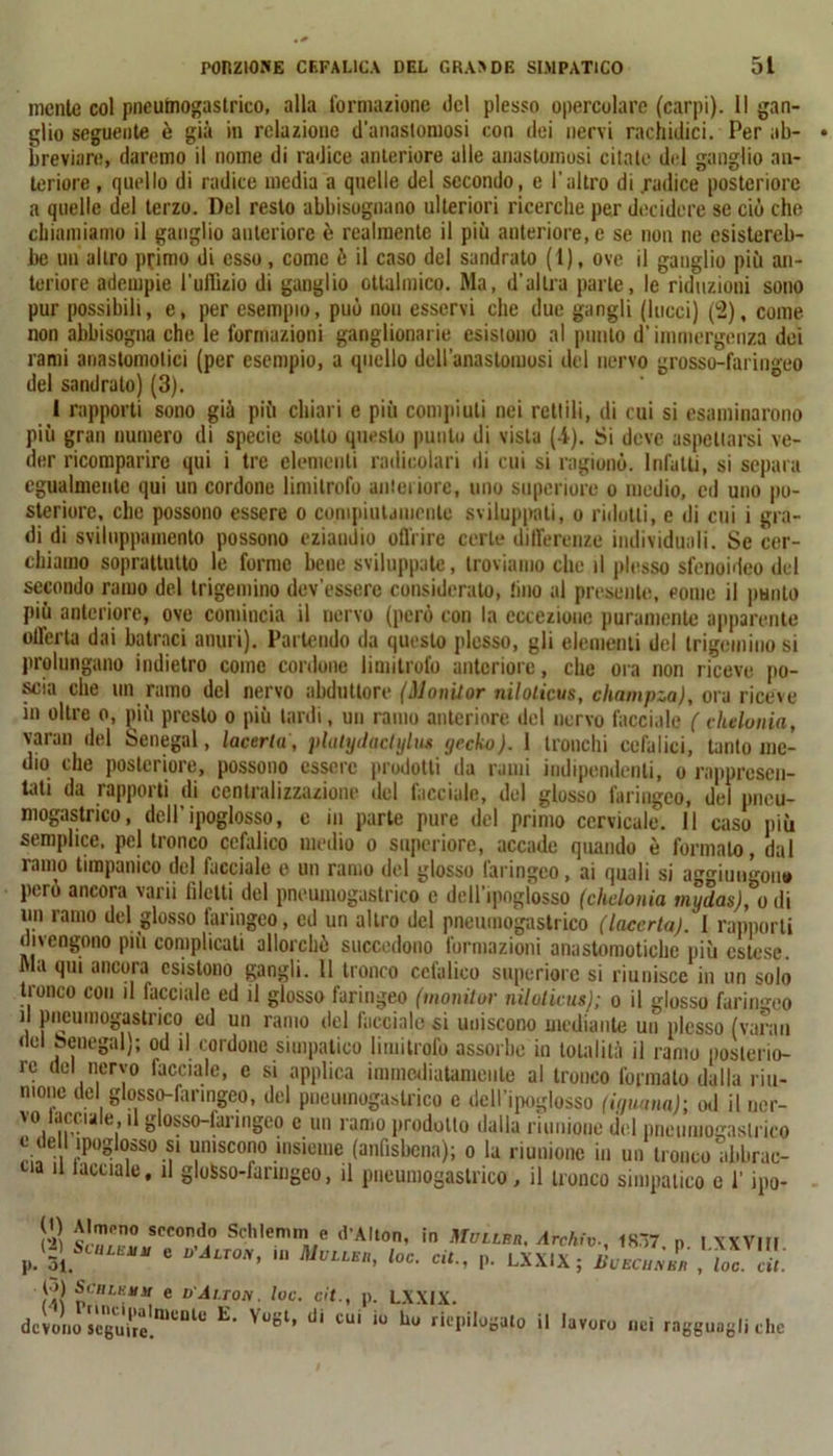 mente col pneumogastrico, alla formazione del plesso opercolare (carpi). Il gan- glio seguente è già in relazione d'anastomosi con dei nervi rachidici. Per ab- breviare, daremo il nome di radice anteriore alle anastomosi citate del ganglio an- teriore , quello di radice media a quelle del secondo, e l’altro di .radice posteriore a quelle del terzo. Del resto abbisognano ulteriori ricerche per decidere se ciò che chiamiamo il ganglio anteriore è realmente il più anteriore, e se non ne esistereb- be un altro primo di esso, come ò il caso del sandrato (1), ove il ganglio più an- teriore adempie l’uffizio di ganglio ottalmico. Ma, d’altra parte, le riduzioni sono pur possibili, e, per esempio, può non esservi che due gangli (lucci) (2), come non abbisogna che le formazioni ganglionarie esistono al punto d’immergenza dei rami anastomotici (per esempio, a quello delt’anastomosi del nervo grosso-faringeo del sandrato) (3). I rapporti sono già più chiari e più compiuti nei rettili, di cui si esaminarono più gran numero di specie sotto questo punto di vista (-i). Si deve aspettarsi ve- der ricomparire qui i tre elementi radicolari di cui si ragionò. Infatti, si separa egualmente qui un cordone limitrofo anteriore, uno superiore o medio, ed uno po- steriore, che possono essere o compiutamente sviluppati, o ridotti, e di cui i gra- di di sviluppamento possono eziandio offrire certe differenze individuali. Se cer- chiamo soprattutto le forme bene sviluppate, troviamo che il plesso sfenoideo del secondo ramo del trigemino dev’essere considerato, tino al presente, come il punto più anteriore, ove comincia il nervo (però con la eccezione puramente apparente offerta dai batraci anuri). Partendo da questo plesso, gli elementi del trigemino si prolungano indietro come cordone limitrofo anteriore, che ora non riceve po- scia che un ramo del nervo abduttore (Monitor niloticus, cliampza), ora riceve in oltre o, più presto o più tardi, un ramo anteriore, del nervo facciale ( cheionia, varali del Senegai, lacerta, platydactylus yecko). 1 tronchi cefalici, tanto me- dio che posteriore, possono essere prodotti da rami indipendenti, o rappresen- tati da rapporti di centralizzazione del facciale, del glosso laringeo, del pneu- mogastrico, dell’ipoglosso, e in parte pure del primo cervicale. Il caso più semplice, pel tronco cefalico medio o superiore, accade quando è formalo, dal ramo timpanico del facciale e un ramo del glosso faringeo, ai quali si a^iungono però ancora varii filetti del pneumogastrico e dell’ipnglosso (cheionia mydas)% di un ramo del glosso faringeo, ed un altro del pneumogastrico (Incerta). I rapporti divengono più complicati allorché succedono formazioni anastomotiche più estese. Ma qui ancora esistono gangli. 11 tronco cefalico superiore si riunisce in un solo tronco con il facciale ed il glosso faringeo (monitor niloticus); o il glosso faringeo il pneumogastrico ed un ramo del facciale si uniscono mediante un plesso (varati del benegai); od il cordone simpatico limitrofo assorbe in totalità il ramo posterio- re del nervo facciale, c si applica immediatamente al tronco formalo dalla riu- mone del glosso-faringeo, del pneumogastrico e dcll’ipoglosso (igwmah od il ncr- \o accia e ì glosso—lai ingeo c un raffio prodotto dalla riunione dui pneunioffaslrico cdellipoglosso si uniscono insieme (anfisbena); o la riunione in un tronco abbrac- U tacciale, il gloSso-faringeo, il pneumogastrico, il tronco simpatico e l’ipo- li] Sr<'0n,l0 Schlemte -''Alton, in Munm. Archi v-, 1S~7 n I XXVIII p^Sciize,, « ^zroiv, in Mvue., lo a. cit., p. LXX.X; ,lai. cit t >) Senio.;*jf e dAiton lue. et., p. LXXIX. devono seguile V°6t’ d‘ CU‘ iu hu ricPlloi5al0 il lavoro nei ragguagli che