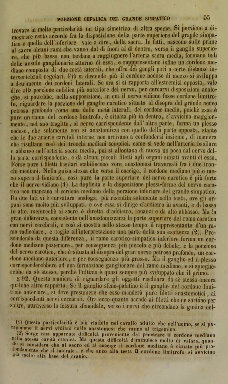 trovare in molte particolarità un tipo simetrico di altra specie. Si perviene a di- mostrare certo accordo fra la disposizione della parte superiore del grande simpa- tico e quella dell’inferiore, vale a dire, della sacra. In fatti, nascono sulle prime al sacro alcuni rami che vanno dal di fuori al di dentro, verso il ganglio superio- re, che piò basso non lardano a raggiugncre l’arteria sacra media, formano indi delle ansule ganglionarie attorno di essa, e rapppresentano infine un cordone me- diano composto di due metà laterali, che offre dei gangli pari a certe distanze in- tervertebrali regolari. Più si discende più il cordone nodoso di mezzo si sviluppa a detrimento dei cordoni laterali. Se ora si si rapporta all’estremità opposta, vale dire alle porzione cefalica più anteriore del nervo, per cercarvi disposizioni analo- ghe, si potrebbe, nella supposizione, in cui il nervo vidiano fosse cordone limitro- fo, riguardare la porzione del ganglio carotico situato al disopra del grande nervo petroso profondo come una delle metà laterali, del cordone medio, poiché essa è pure un ramo del cordone limitrofo, è situata più in dentro, s’avvicina maggior- mente, nel suo tragitto, al nervo corrispondente dall’altra parte, forma un plesso nodoso, che solamente non si anastomizza con quello della parte opposta, stante clic le due arterie carotidi interne non arrivano a confondersi insieme, di maniera che risultano cosi dei tronchi mediani semplici, come si vede nell'arteria basilare e abbasso nell'arteria sacra media, poi si allontana di nuovo un poco dal nervo del- la parte corrispondente, c dà alcuni piccoli filetti agli organi situati avanti di esso. Forse pure i filetti basilari stabiliscono vore anastomosi traversali fra i due tron- chi mediani. Nella guisa stessa che verso il coccige, il cordone mediano più o me- no supera il limitrofo, così pure la parte superiore del nervo carotico è più forte che il nervo vidiano (1). La duplicità e la disposizione plessi-forme del nervo caro- tico non mancano al cordone mediano della porzione inferiore del grande simpatico. Da due lati vi è curvatura analoga, più risentita solamente nella testa, ove gli or- gani sono mollo più sviluppati, e o\c essa si dirige d’addietro in avanti, e di basso in allo, mentrechò al sacro è diretta d’addietro, innanzi e da alto abbasso. Ma !a gran differenza, consistente nell anastomizzarsi la parte superiore del ramo carotico con nervi cerebrali, e così si mostra nello stesso tempo il rappresentante d’un fa- tuo radicolare, e toglie all iuterprctazione una parte della sua esattezza {%. Pre- scindendo da questa differenza, il ramo earotico-simpatico inferiore forma un cor- done mediano posteriore, per conseguenza più piccolo e più debole, e la porzione del nervo carotico, che è situata al disopra del gran nervo petroso profondo, un cor- done mediano anteriore, e per conseguenza più grosso. Ma il ganglio ed il plesso corrisponderebbero ad una formazione gangliunare del ramo mediano, e si spieghe- rebbe da sè stesso, perchè l’ultimo è quasi sempre più sviluppato che il primo. S 02. Questa maniera di riguardare gli oggetti rischiara da sè stessa ancora qualche altro rapporto. Se il ganglio sfeno-palutino è il ganglio del cordone limi- trofo anteriore , si deve presumere che esso manderà pure filetti anastomosi, ai corrispondenti nervi cerebrali. Ora ecco quanto accade ai filetti che ne sortono per salire, attraverso la fessura sfenoidale, verso i nervi che circondano la guaina del- ti) Questa particolarità ò più visibile nel cavallo adulto che nell'uomo, se si pa- ragonano li nervi vidiani colle anastomosi che vanno al trigemino. (2) Sorge nna apparente difficoltà proveniente dal penetrare il cordone mediano n,,lla stessa cavità cranica. Ala questa difficoltà diminuisce mollo di valore, quan- •° si considera che al sacro ed al coccige il cordone mediano è situato più pro- onOaniente che il laterale, e che anco alla testa £1 cordone limitrofo si avvicina già molto alla base del cranio.