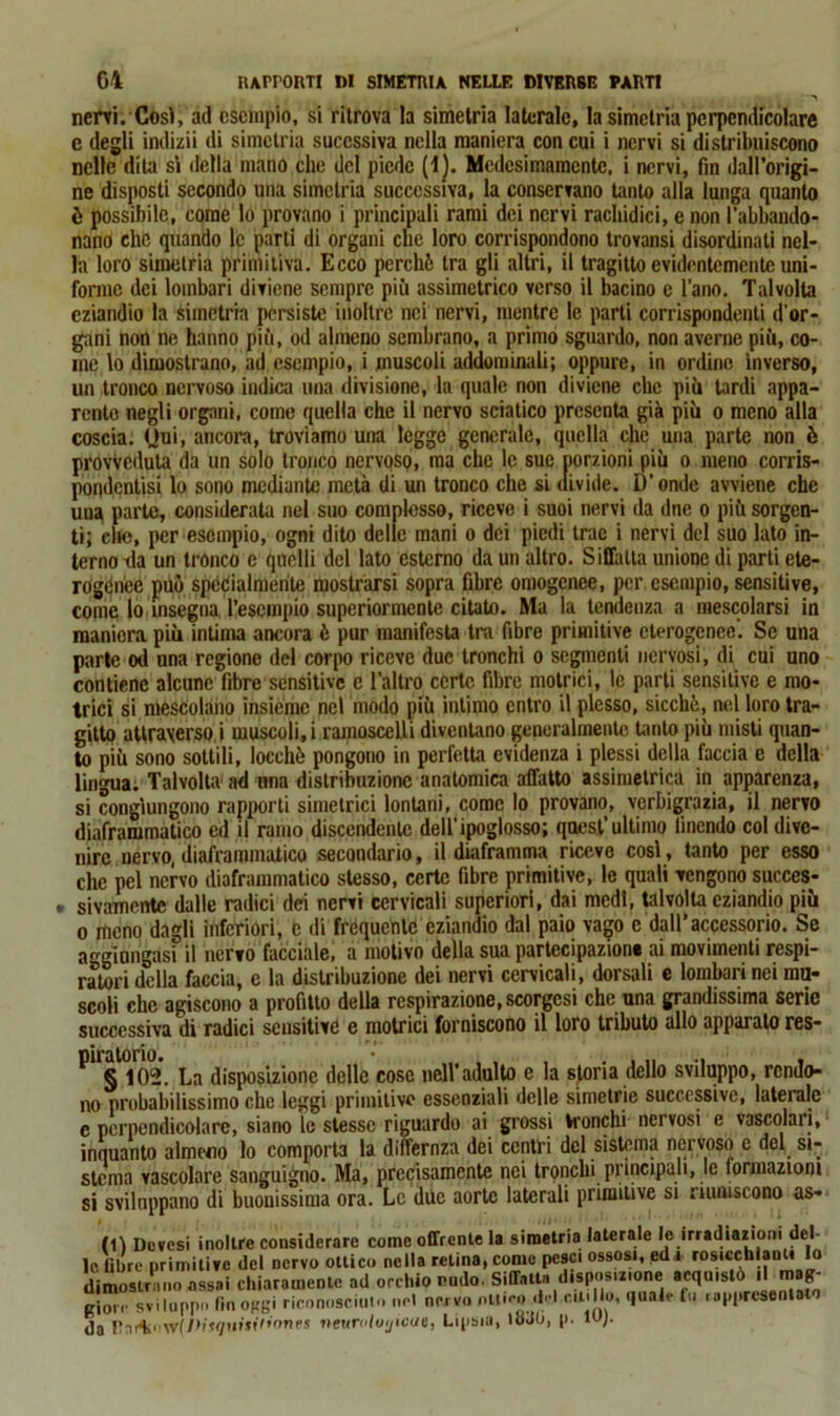Gl UArrORTI DI SIMETRIA NELLE DIVERSE PARTI nervi. Così, ad esempio, si ritrova la simetria laterale, la simclria perpendicolare e degli indizii di simetria succssiva nella maniera con cui i nervi si distribuiscono nelle dita sì della mano che del piede (1). Medesimamente, i nervi, fin dall’origi- ne disposti secondo una simetria successiva, la conservano tanto alla lunga quanto è possibile, come lo provano i principali rami dei nervi rachidici, e non l’abbando- nano che quando le parti di organi che loro corrispondono trovansi disordinati nel- la loro simetria primitiva. Ecco perchè tra gli altri, il tragitto evidentemente uni- forme dei lombari diviene sempre più assimetrico verso il bacino e l’ano. Talvolta eziandio la simetria persiste inoltre nei nervi, mentre le parti corrispondenti d’or- gani non ne hanno più, od almeno sembrano, a primo sguardo, non averne più, co- me lo dimostrano, ad esempio, i muscoli addominali; oppure, in ordino inverso, un tronco nervoso indica una divisione, la quale non diviene clic più tardi appa- rento negli organi, corno quella che il nervo sciatico presenta già più o meno alla coscia. Qui, ancora, troviamo una legge generale, quella che una parte non è provveduta da un solo tronco nervoso, ma che le sue porzioni più o meno corris- pondentisi lo sono mediante metà di un tronco che si divide. D’onde avviene che una parte, considerata nel suo complesso, riceve i suoi nervi da due o più sorgen- ti; clic, per esempio, ogni dito delle mani o dei piedi trae i nervi del suo lato in- terno tla un tronco e quelli del lato esterno da un altro. Siffatta unione di parti ete- rogenee può specialmente mostrarsi sopra fibre omogenee, per esempio, sensitive, come lo insegna l’esempio superiormente citato. Ma la tendenza a mescolarsi in maniera più intima ancora è pur manifesta tra fibre primitive eterogenee. Se una parte od una regione del corpo riceve due tronchi o segmenti nervosi, di cui uno contiene alcune fibre sensitive e l’altro certe fibre motrici, le parti sensitive e mo- trici si mescolano insieme nel modo più intimo entro il plesso, sicché, nel loro tra- gitto attraverso i muscoli,i ramoscelli diventano generalmente tanto più misti quan- to più sono sottili, locehè pongono in perfetta evidenza i plessi della faccia e della lingua. Talvolta ad una distribuzione anatomica affatto assimetrica in apparenza, si congiungono rapporti simetrici lontani, come lo provano, verbigrazia, il nervo diaframmatico ed il ramo discendente dell'ipoglosso; quest’ultimo finendo col dive- nire nervo, diaframmatico secondario, il diaframma riceve così, tanto per esso che pel nervo diaframmatico stesso, certe fibre primitive, le quali vengono succes- sivamente dalle radici dei nervi cervicali superiori, dai medi, talvolta eziandio più o meno dagli inferiori, c di frequente eziandio dal paio vago e dall’accessorio. Se aggiungasi il nervo facciale, a motivo della sua partecipazione ai movimenti respi- ratori della faccia, e la distribuzione dei nervi cervicali, dorsali e lombari nei mu- scoli che agiscono a profitto della respirazione,scorgcsi che una grandissima serie successiva di radici sensitive e motrici forniscono il loro tributo allo apparato res- P11§1°102. La disposizione delle cose nell’adulto e la storia dello sviluppo, rendo- no probabilissimo che leggi primitive essenziali delle simetrie successive, laterale c perpendicolare, siano le stesse riguardo ai grossi tronchi nervosi e vascolari, inquanto almeno lo comporta la dilfernza dei centri del sistema nervoso c del si- stema vascolare sanguigno. Ma, precisamente nei tronchi principali, le lormazioni si sviluppano di buonissima ora. Le due aorte laterali primitive si riuniscono as- ili Dovcsi inoltre considerare come offrente la simetria laterale le irradiazioni del- le libre primitive del nervo ottico nella retina, come pesci ossosi, edj rosieehlanU lo dimostrano assai chiaramente ad occhio nudo. Siffatta dispostone «qo»»ò *1 mag- gio,sviluppi' (moggi riconosciuto nel nervo pUk*o del citi lo, quale fu lapprtseniata da rtnfHii'W(/,if/tn'*i',oPf,s neumluijicue, Lipsia, Ihao, p. W)-