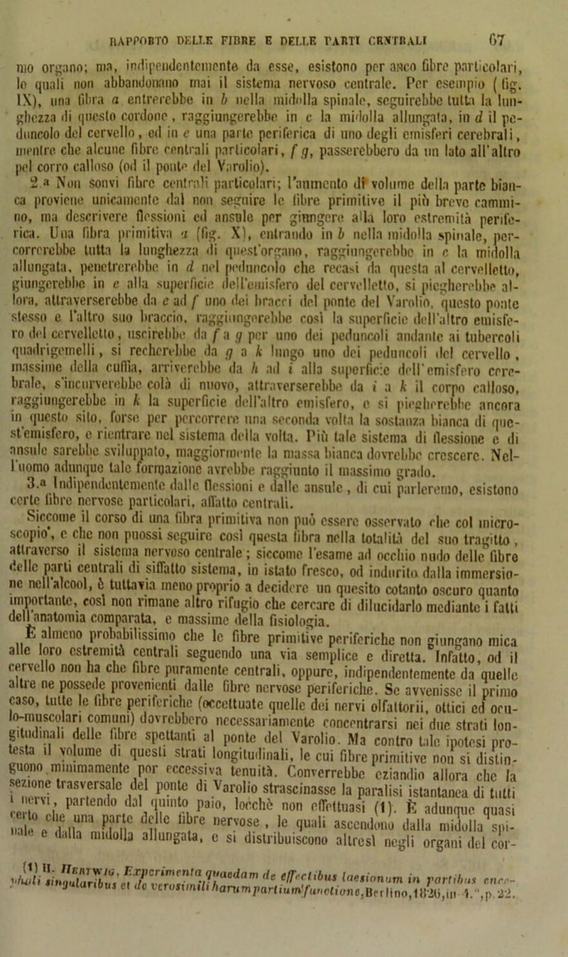 mo organo; ma, indipendentemente da esse, esistono per anco fibre particolari, lo quali non abbandonano mai il sistema nervoso centrale. Per esempio ( lig. IX), una fibra a entrerebbe in b nella midolla spinale, seguirebbe tutti la lun- ghezza di questo cordone, raggiungerebbe in c la midolla allungata, in d il pe- duncolo del cervello, ed in e una parte periferica di uno degli emisferi cerebrali, mentre che alcune fibre centrali particolari, f g, passerebbero da un lato all'altro pel corro calloso (od il ponte del Varolio). 2. a Non sonvi libre centrali particolari; l'aumento di volume della parte bian- ca proviene unicamente dal non seguire le libre primitivo il più breve cammi- no, ma descrivere flessioni ed ansale per giungere alla loro estremità perife- rica. Una fibra primitiva a (fig. X), entrando ini» nella midolla spinale, per- correrebbe tutta la lunghezza di quest’organo, raggiungerebbe in o la midolla allungala, penetrerebbe in d nel peduncolo che recaci da questa al cervelletti», giungerebbe in e alla superficie deU'emisfero del cervelletto, si piegherebbe al- lora, attraverserebbe da e ad f uno dei bracci del ponte del Varolio, questo ponte stesso e l’altro suo braccio, raggiungerebbe così la superficie dell’altro emisfe- ro del cervelletto, uscirebbe da fa g per uno dei peduncoli andante ai tubercoli quadrigemelli, si recherebbe da g a k lungo uno dei peduncoli del cervello , massime delia cuffia, arriverebbe da /» ad i alla superficie dell’emisfero cere- brale, s’incurverebbe colà di nuovo, attraverserebbe da i a k il corpo calloso, raggiungerebbe in k la superficie dell’altro emisfero, e si piegherebbe ancora in questo silo, forse per percorrere una seconda volta la sostanza bianca di que- st’emisfero, e rientrare nel sistema della volta. Più tale sistema di flessione e di ansulo sarebbe sviluppato, maggiormente la massa bianca dovrebbe crescere. Ncl- 1 uomo adunque tale formazione avrebbe raggiunto il massimo grado. 3. n Indipendentemente dalle flessioni e dalle ansulc , di cui parleremo, esistono certe libre nervose particolari, affatto centrali. Siccome il corso di una fibra primitiva non può essere osservato che col micro- scopio’, e clic non pnossi seguire cosi questa libra nella totalità del suo tragitto , attraverso il sistema nervoso centrale ; siccome l’esame ad occhio mulo delta libro celle parti centrali di siffatto sistema, in istato fresco, od indurito dalla immersio- nc nell alcool, 6 tuttavia meno proprio a decidere un quesito cotanto oscuro quanto importante, così non rimane altro rifugio che cercare di dilucidarlo mediante i fatti dell anatomia comparata, e massime della fisiologia. E almeno probabilissimo che le fibre primitive periferiche non giungano mica alle loro estremità centrali seguendo una via semplice e diretta. Infoilo, od il cervello non ha clic fibre puramente centrali, oppure, indipendentemente da quelle altre ne possedè provenienti dalle fibre nervose periferiche. Se avvenisse il primo caso, tutte le fibre periferiche (occottuatc quelle dei nervi olfaltorii, ottici ed oru- lo-muscolari comuni) dovrebbero necessariamente concentrarsi nei due strati lon- gitudinali delle fibre spettanti al ponte del Varolio. Ma contro tale ipotesi pro- testa ,1 volume di questi strati longitudinali, le cui fibre primitive non si distin- guono, minimamente por eccessiva tenuità. Converrebbe eziandio allora che la Turni TnrJTl C n POn[C dl Varoliostrascinasse la paralisi istantanea di tutti Mimi, partendo dal quinto paio, loechè non effettuasi (1). fc adunque quasi inle° e d .Ita’n M Ti0 d5 ° n?re nerv0f ’ le (Juali ascendono dalla midSl^spi- dulla midolla allungata, e si distribuiscono altresì negli organi dei cor- v./ÌM^ <» r«rf.’6»« cnc- jular.bM, et vcrus.m./»/ian4mi»«rr,ul^/-a»(o£.f,„o,Bo. linof1»lìO,.«I 1.“,p -22.