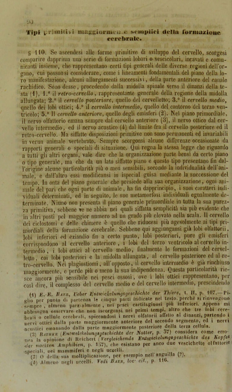 Tipi kiriiiiillitì luaggiormeu.' Mentitici della Ideinaziuiie cerebrale* § 110. Se aseenilesi alle forme primitive di sviluppo del cervello, scorgcsi comparire dapprima una serie di formazioni lobari o vescicolari, incavali e comu- nicanti insieme, che rappresentano certi tipi generali delle diverse regioni dell'or- gano, cui possonsi considerare, come i lineamenti fondamentali del piano della lo- ro manifestazione, alcuni allargamenti successivi, della parte anteriore del canale rachidico. Sono desse, procedendo dalla midolla spinale verso il dinanzi della te- sta (1), l.° il retro-cervello, rappresentante generale della regione della midolla allungata; 2.° il cervello posteriore, quello del cervelletto; 3.° il cervello medio, qnello dei lobi ottici; 4.° il cervello intermedio, quello del contorno del terzo ven- tricolo; 5.° 11 cemetto anteriore, quello degli emisferi (2). Nel piano primordiale, il nervo olfattorio emana sempre dal cervello anteriore (3), il nervo ottico dal cer- vello intermedio, ed il nervo acustico (4) dal limite fra il cervello posteriore ed il retro-cervello. Ma siffatte disposizioni primitive non sono permanenti ed invariabili in verun animale vertebrato. Sempre scorgonsi alcune differenze occasionate da rapporti generali o speciali di situazione. Qui regna la stessa legge che riguardo a tutti gli altri organi, vale dire che la organizzazione parte bensì da certo piano o tipo generale, ma che da un lato siffatto piano e questo tipo presentano fin dal- l’origine alcune particolarità più o men sensibili, secondo la individualità dell’ani- male, e dall’altro essi modilicansi in ispecial guisa mediante la successione del tempo. In onta del piano generale che presiede alla sua organizzazione, ogni ani- male del pari che ogni parte di animale, ha lin dapprincipio, i suoi caratteri indi- viduali determinati, ed in seguito, le sue metamorfosi individuali egualmente de- terminate. Niuno non presenta il piano generale primordiale in tutta la sua purez- za primitiva, sebbene ve ne abbia nei quali siffatta semplicità sia piu evidente che in altri posti pel maggior numero ad un grado più elevato nella scala. Il cervello dei ciclostomi c delle chimere ò quello che riducesi più agevolmente ai tipi pri- mordiali della formazione cerebrale. Sebbene qui aggiungansi già lobi ollaltorii, lobi inferiori ed eziandio fin a certo punto, lobi posteriori, pure gli emisferi corrispondono al cervello anteriore , i lobi del terzo ventricolo al cervello in- termedio , i lobi ottici al cervello medio, finalmente le formazioni del cervel- letto, coi lobi posteriori e la midolla allungala, al cervello posteriore ed al re- tro-cervello. Nei plagiostiomi, all'opposto, il cervello intermedio è già rinchiuso maggiormente, c perde piu o meno la sua indipendenza. Questa particolarità rie- sce0 ancora più sensibile nei pesci ossosi, ove i lobi ottici rappresentano, per cosi dire, il complesso del cervello medio c del cervello intermedio, prescindendo (1) E. E. Iìàf.it, Veber Entwickelungsgeschichte der Thiere, t. IT, p. 107.— Pi- lilio per punto di partenza le cinque parti indicate nel lesto, perché si rinvengono sempre , almeno parzialmente , nei pesci cartilaginosi più inferiori. Appena mi abbisogna osservare che non iscorgonsi nei primi tempi, altro che tre lobi cere- brali o cellule cerebrali, spiccandosi i nervi olfalorii adatto al dinanzi, partendo i nervi ottici dalla parte mnggiormcnle anteriore del secondo segmento, ed i nervi acustici emanando dalla parte maggiormente posteriore del la terza cellula. (21 Ii.trhkk (Eniwelckelungtgùschichte der IS’otter, p. or) considera come erro- nea la opinione di Ueichert ( Vergleichende Enlwickclungsgeschiclile des hopfes der nackten Amphibien, p. 1»7), che esistano per anco due vescichette olfattone speciali, nei mammiferi e negli uccelli. (31 O della sua moltiplicazione, per esempio nell anguilla (/]. (4) Almeno negli uccelli. Vedi Baer, toc- cil., p. Uh. I