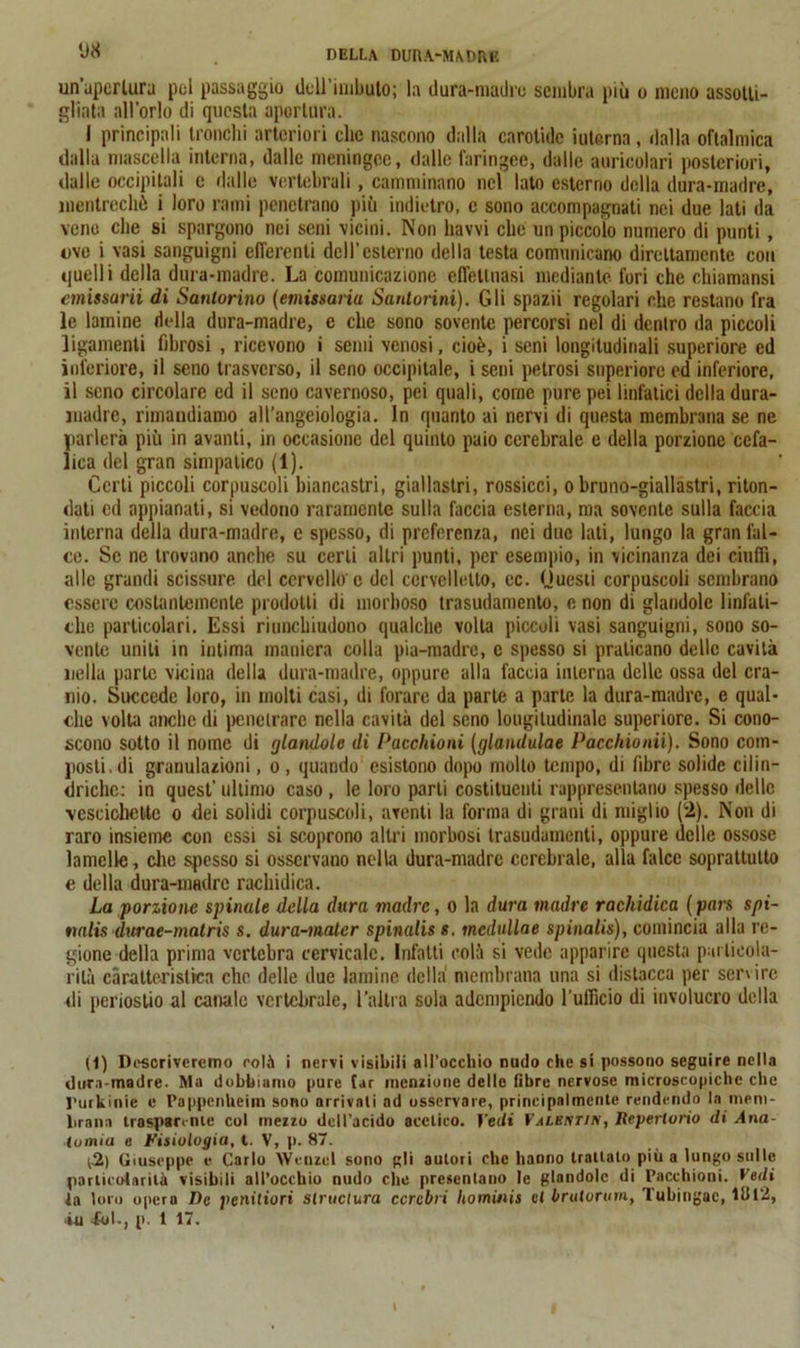 un apertura pel passaggio dell imbuto; la dura-niadro sembra più o meno assotti- gliata all’orlo di questa apertura. 1 principali tronchi arteriori clic nascono dalla carotide iuterna, dalla oftalmica dalla mascella interna, dalle meningee, dalle faringee, dalle auricolari posteriori, dalle occipitali c dalle vertebrali , camminano nel lato esterno della dura-madre, mentrecliò i loro rami penetrano più indietro, e sono accompagnati nei due lati da vene che si spargono nei seni vicini. Non liavvi che un piccolo numero di punti, ove i vasi sanguigni efferenti dell’esterno della testa comunicano direttamente con quelli della dura-madre. La comunicazione effettuasi mediante fori che chiamansi emissarii di Satilorino (emitsaria Santorini). Gli spazii regolari che restano fra le lamine della dura-madre, e che sono sovente percorsi nel di dentro da piccoli ligamenti fibrosi , ricevono i semi venosi, cioè, i seni longitudinali superiore ed inferiore, il seno trasverso, il seno occipitale, i seni petrosi superiore ed inferiore, il seno circolare ed il seno cavernoso, pei quali, come pure pei linfatici della dura- madre, rimandiamo all’angeiologia. In quanto ai nervi di questa membrana se ne parlerà più in avanti, in occasione del quinto paio cerebrale e della porzione cefa- lica del gran simpatico (1). Certi piccoli corpuscoli biancastri, giallastri, rossicci, o bruno-giallastri, riton- dati ed appianati, si vedono raramente sulla faccia esterna, ma sovente sulla faccia interna della dura-madre, e spesso, di preferenza, nei due lati, lungo la gran fal- ce. Se ne trovano anche su certi altri punti, per esempio, in vicinanza dei ciuffi, alle grandi scissure del cervello'c del cervelletto, cc. Questi corpuscoli sembrano essere costantemente prodotti di morboso trasudamento, e non di glandolo linfati- che particolari. Essi riunchiudono qualche volta piccoli vasi sanguigni, sono so- vente uniti in intima maniera colla pia-madre, c spesso si praticano delle cavità nella parte vicina della dura-madre, oppure alla faccia interna delle ossa del cra- nio. Succede loro, in molti casi, di forare da parte a parte la dura-madre, e qual- che volta anche di penetrare nella cavità del seno longitudinale superiore. Si cono- scono sotto il nome di piandole dì Pacchioni (glandulae Pacchionii). Sono com- posti, di granulazioni, o , quando esistono dopo mollo tempo, di fibre solide cilin- driche: in quest’ ultimo caso, le loro parli costituenti rappresentano spesso delle vescichette o dei solidi corpuscoli, aventi la forma di grani di miglio (2). Non di raro insieme con essi si scoprono altri morbosi trasudamenti, oppure delle ossose lamelle, die spesso si osservano nella dura-madre cerebrale, alla falce soprattutto e della dura-madre rachidica. La porzione spinale della dura madre, o la dura madre rachidica ( pars spi- nalis durae-malris s. dura-maler spinalis *. mcdullae spinala), comincia alla re- gione della prima vertebra cervicale. Infatti colà si vede apparire questa particola- rità caratteristica che delle due lamine della membrana una si distacca per sei’' ire di periostio al canale vertebrale, l’altra sola adempiendo l'ufficio di involucro della (1) Descriveremo eoli i nervi visibili all’occhio nudo che si possono seguire nella dura-madre. Ma dobbiamo pure far menzione delle fibre nervose microscopiche che l’urkinie e Pappcnheim sono arrivati ad osservare, principalmente rendendo la mem- brana trasparente col mezzo dell’acido acetico. Vedi Valentin, Iieperlorio di Ana- tomia e Fisiologia, t. V, p. 87. 1-2) Giuseppe e Carlo Wenzcl sono gli autori che haono trattato pitia lungo sulle particolarità visibili all’occhio nudo che presentano le glandolo di Pacchioni. Vedi la loro opero lìc peniliori structura ccrcbri hominis cl brulorum, Tubingae, 11U2, iti fui., p. 1 17.