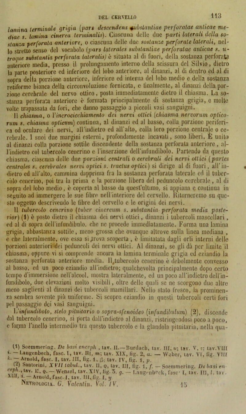 lamina terminale grigia (pan descendens +ubslantiae perforalae anticae me- diae s. lamina cinerea terminali.1). Ciascuna delle due parti laterali della so- stanza perforata anteriore, o ciascuna delle due sostanze perforate laterali, nel- lo stretto senso del vocabolo (pars latcrales substanliae perforatae anticae s. u- tràqae substantia perforata lateralis) è situata al di fuori, della sostanza perforata anteriore media, presso il prolungamento interno della scissura del Silvio, dietro la parte posteriore ed inferiore del lobo anteriore, al dinanzi, al di dentro cd al di sopra della porzione anteriore, inferiore ed interna del lobo medio e della sostanza retiforme bianca della circonvoluzione fornicata, c finalmente, al dinanzi della por- zione cerebrale del nervo ottico, posta immediatamente dietro il chiasma. La so- stanza perforata anteriore è formata principalmente di sostanza grigia, c molte volte trapassata da fori, che danno passaggio a piccoli vasi sanguigni. 11 chiasma, o \'incrocicchiamento dei nervi ottici (chiasma nervorum optico- mm s. chiasma opticum) continua, al dinanzi cd al basso, colla porzione periferi- ca od oculare dei nervi, all 'indietro ed all'alto, colla loro porzione centrale o ce- rebrale. 1 suoi due margini esterni, profondamente incavati, sono liberi. È unito al dinanzi colla porzione sottile discendente della sostanza perforata anteriore, al- l'indietro col tubercolo cenerino c l’inserzione dell'infundibolo. Partendo da questo chiasma, ciascuna delle due porzioni centrali o cerebrali dei nervi ottici (partes cenlrales s. cerebralcs nervi optici s. tracine optici ) si dirige al di fuori, all’in- dietro ed all’alto, cammina dapprima fra la sostanza perforala laterale ed il tuber- colo cenerino, poi tra la prima e la porzione libera del peduncolo cerebrale, al di sopra del lobo medio, è coperta al basso da quest’ultimo, si appiana e continua in seguito ad immergere le sue fibre nell'interiore del cervello. Ritorneremo su que- sto oggetto descrivendo le fibre del cervello c le origini dei nervi. 11 tubercolo cenerino (tuber cinerami s. substantia perforala media poste- rior) (1) è posto dietro il chiasma dei nervi ottici, dinanzi i tubercoli mascellari, ed al di sopra dcH’infundibulo. che ne procede immediatamente. Forma una lamina grigia, abbastanza sottile, meno grossa che ovunque altrove sulla linea mediana , e che lateralmente, ove essa si .trova scoperta , è limitatala dagli orli interni delle porzioni anteriori dei peduncoli dei nervi ottici. Al dinanzi, se gli dà per limite il chiasma, oppure vi si comprende ancora la lamina terminale grigia ed eziandio la sostanza perforata anteriore media, ll.tubercolo cenerino è debolmente convesso al basso, ed un poco eziandio all’indietro; qualchcvolta principalmente dopo certo tempo d’immersione nell’alcool, mostra lateralmente, cd un poco all’indietro dell’in- fundibolo, due elevazioni molto visibili, olire delle quali se ne scorgono due altre meno saglienti al dinanzi dei tubercoli mamillari. Nelio stato fresco, la prominen- za sembra sovente più uniforme. Si scopre eziandio in questi tubercoli certi fori pel passaggio dei vasi sanguigni. L'infundibolo, stelo pituitario o sopra-sfenoideo (infundibulum) (2), discende dal tubercolo cenerino, si porta dall’indietro al dinanzi, ristringendosi poco a poco, e for.ma l'anello intermedio tra questo tubercolo e la glandola pituitaria, nella qua- (t) Soemmering. De basi enceph , tav. II.—Burdach, lav. Ili, u; tav. V, r: tav.VUI «• — Langenbech, fase. I, tav. IH, »n; tav. XIX, lig. 2, a. — Weber, tav. VI, lig. Vili *• — Arnold, fase. I, tav. Ili, fig. 1. fi; tav. IV, fìg. 1, p. U) Saotorioi, XVI! tabula tav. II, q, tav. Ili, fig. l, f. — Soemmering, De basi en VmV ’.lav’ *’> Q.— Wenzel, tav. XIV, fig. 5. g.— LangrnbPck, fase- L, tav- III, I, tav. A1II, <- - Arnold, fase- I. tav. Ili, fig. I, y Nevkologia. G. Valentin. Voi. IV. 15