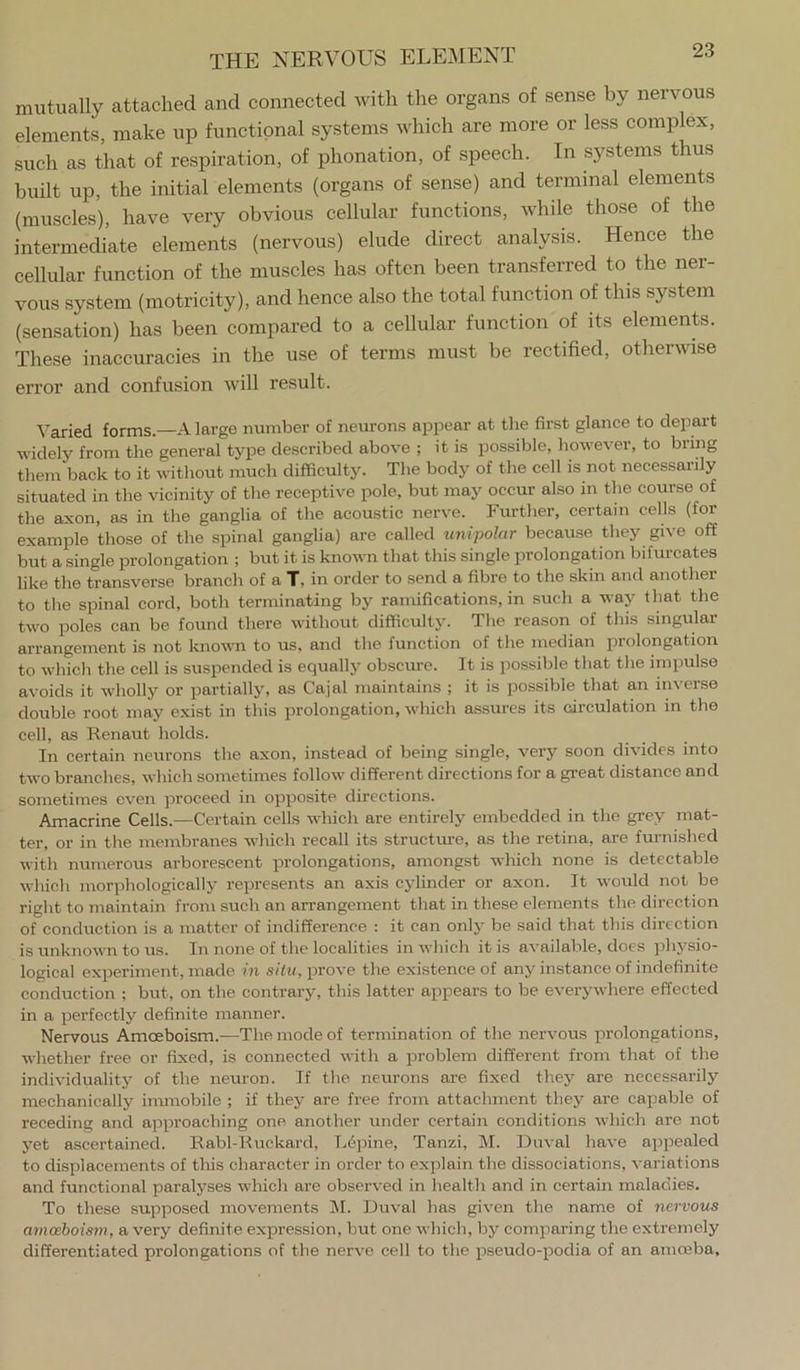 mutually attached and connected with the organs of sense by nervous elements, make up functional systems which are more or less complex, such as that of respiration, of phonation, of speech. In systems thus built up, the initial elements (organs of sense) and terminal elements (muscles), have very obvious cellular functions, while those of the intermediate elements (nervous) elude direct analysis. Hence the cellular function of the muscles has often been transferred to the ner- vous system (motricity), and hence also the total function of this system (sensation) has been compared to a cellular function of its elements. These inaccuracies in the use of terms must be rectified, otheiwise error and confusion will result. Varied forms.—A large number of neurons appear at the first glance to depart widely from the general type described above ; it is possible, however, to bring them back to it without much difficulty. The body of the cell is not necessarily situated in the vicinity of the receptive pole, but may occur also in the course of the axon, as in tlie ganglia of the acoustic nerve. Further, certain cells (for example those of the spinal ganglia) are called unipolar because they give off but a single prolongation ; but it is known that this single prolongation bifurcates like the transverse branch of a T, in order to send a fibre to the skin and another to tlie spinal cord, both terminating by ramifications, in such a way that the two poles can be found there without difficulty. The reason of this singular arrangement is not knovTi to us, and the function of the median prolongation to which the cell is suspended is equally obscui’e. It is possible that the impulse avoids it wholly or partially, as Cajal maintains ; it is possible that an inverse double root may exist in this prolongation, which assures its circulation in the cell, as Kenaut holds. In certain neurons the axon, instead of being single, very soon divides into two branches, which sometimes follow different directions for a great distance and sometimes even proceed in opposite directions. Amacrine Cells.—Certain cells whicli are entirely embedded in the grey mat- ter, or in the membranes which recall its structure, as the retina, are furnished with numerous arborescent prolongations, amongst which none is detectable which morphologically represents an axis cylinder or axon. It would not be right to maintain from such an arrangement that in these elements the direction of conduction is a matter of indifference : it can only be said that this direction is unknown to us. In none of the localities in which it is available, does physio- logical experiment, made in situ, prove the existence of any instance of indefinite conduction ; but, on the contrary, this latter appears to be everywhere effected in a perfectly definite manner. Nervous Amoeboism.—The mode of termination of the nervous prolongations, whether free or fixed, is connected with a problem different from that of the individuality of the neruon. If the neurons are fixed they are necessarily mechanically inmiobile ; if they are free from attachment they are capable of receding and approaching one another under certain conditions which are not yet ascertained. Rabl-Huckard, Lepine, Tanzi, M. Duval have appealed to displacements of this character in order to explain the dissociations, variations and functional paralyses wdiich are observed in health and in certain maladies. To these supposed movements INI. Duval has given the name of nervous amoeboism, a very definite expression, but one which, by comparing the extremely differentiated prolongations of the nerve cell to the pseudo-podia of an amoeba.