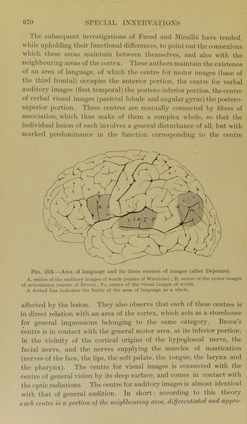 The subsequent investigations of Freud and Miraille have tended, while ujjliolding their functional differences, to point out the connexions which these areas maintain between themselves, and also with the neighbouring areas of the cortex. These authors maintain the existence of an area of language, of which the centre for motor images (base of the third frontal) occupies the anterior portion, the centre for verbal auditory images (first temporal) the postero-inferior portion, the centre of verbal visual images (parietal lobule and angular gyrus) the postero- superior iDortion. These centres are mutually connected by fibres of association, which thus make of them a complex whole, so that the individual lesion of each involves a general disturbance of all, but with marked predominance in the function corresponding to the centre Fia. 263.—Area of language and its three centres of images (after Dejerino). A, centre of the auditory images of words (centre of Wernicke) ; B, centre of the motor images of articulation (centre of Broca) ; Pc, centre of the visual images of words. A dotted line indicates tlie limits of the area of language as a whole. affected by the lesion. They also observe that each of these centres is in direct relation with an area of the cortex, which acts as a storehouse for general impressions belonging to the same category. Broca’s centre is in contact with the general motor area, at its inferior portion, in the vicinity of the cortical origins of the hypoglossal nerve, the facial nerve, and the nerves supplying the muscles of mastication (nerves of the face, the lips, the soft palate, the tongue, the larynx and the pharynx). The centre for visual images is connected with the centre of general vision by its deep surface, and comes in contact with the optic radiations. The centre for auditory images is almost identical with that of general audition. In short: according to this theory each centre is a portion of the neighbouring area, differentiated and appro-