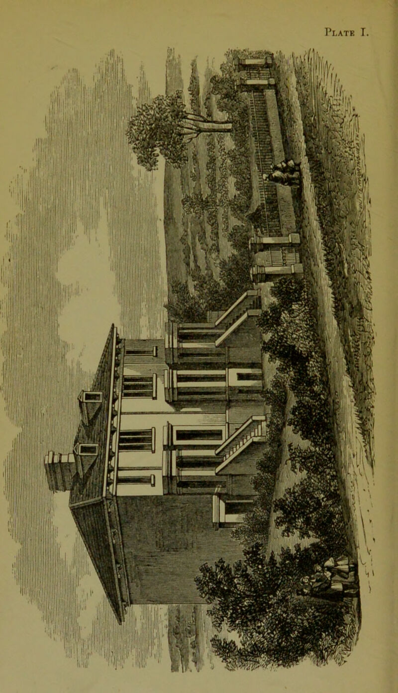 Plate I.