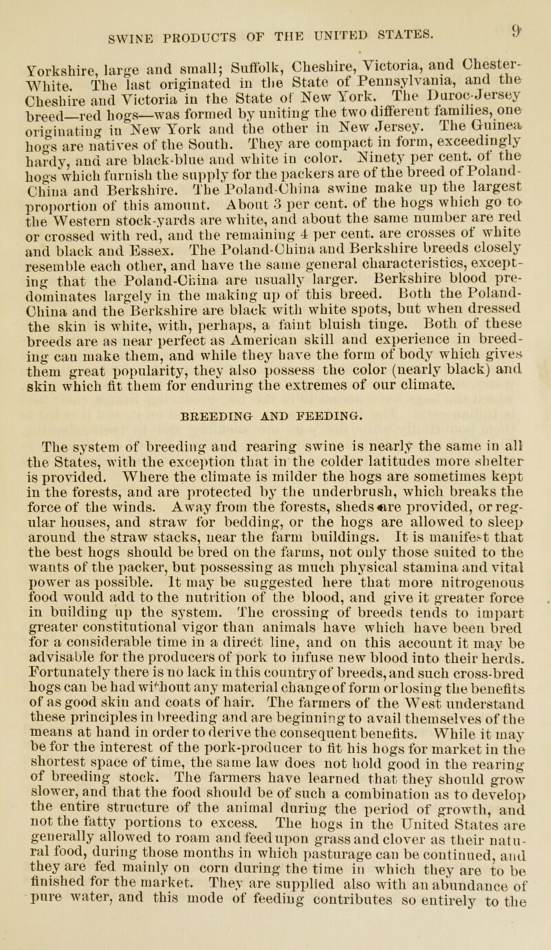 Yorkshire, large and small; Suffolk, Cheshire, Victoria, and Chestei- White. The last originated in the State of Pennsylvania, and the Cheshire and Victoria in the State of New York. The Duroc-Jersey kreed red hogs—was formed by uniting the two different families, one originating in New York and the other in New Jersey. The Guinea hogs are natives of the South. They are compact in form, exceedingly hardy, and are black-blue and white in color. Ninety per cent, ot the hogs which furnish the supply for the packers are of the breed of Poland- Cliina and Berkshire. The Poland-China swine make up the largest proportion of this amount. About 3 per cent, ot the hogs which go to the Western stock-yards are white, and about the same number are red or crossed with red, and the remaining 4 per cent, are crosses of white and black and Essex. The Poland-China and Berkshire breeds closely resemble each other, and have the same general characteristics, except- ing that the Poland-China are usually larger. Berkshire blood pre- dominates largely in the making up of this breed. Both the Poland- China and the Berkshire are black with white spots, but when dressed the skin is white, with, perhaps, a faint bluish tinge. Both ot these breeds are as near perfect as American skill and experience in breed- ing can make them, and while they have the form of body which gives them great popularity, they also possess the color (nearly black) and skin which fit them for enduring the extremes of our climate. BREEDING AND FEEDING. The system of breeding and rearing swine is nearly the same in all the States, with the exception that in the colder latitudes more shelter is provided. Where the climate is milder the hogs are sometimes kept in the forests, and are protected by the underbrush, which breaks the force of the winds. Away from the forests, sheds ere provided, or reg- ular houses, and straw for bedding, or the hogs are allowed to sleep around the straw stacks, near the farm buildings. It is manifest that the best hogs should be bred on the farms, not only those suited to the wants of the packer, but possessing as much physical stamina and vital power as possible. It may be suggested here that more nitrogenous food would add to the nutrition of the blood, and give it greater force in building up the system. The crossing of breeds tends to impart greater constitutional vigor than animals have which have been bred for a considerable time in a direct line, and on this account it may be advisable for the producers of pork to infuse new blood into their herds. Fortunately there is no lack in this country of breeds, and such cross-bred hogs can be had without any material change of form or losing the benefits of as good skin and coats of hair. The farmers of the West understand these principles in breeding and are beginning to avail themselves of the means at hand in order to derive the consequent benefits. While it may be for the interest of the pork-producer to fit his hogs for market in the shortest space of time, the same law does not hold good in the rearing of breeding stock. The farmers have learned that they should grow slower, and that the food should be of such a combination as to develop the entire structure of the animal during the period of growth, and not the fatty portions to excess. The hogs in the United States are generally allowed to roam and feed upon grass and clover as their natu- ral food, during those months in which pasturage can be continued, and they are fed mainly on corn during the time in which they are to be finished for the market. They are supplied also with an abundance of pure water, and this mode of feeding contributes so entirely to the