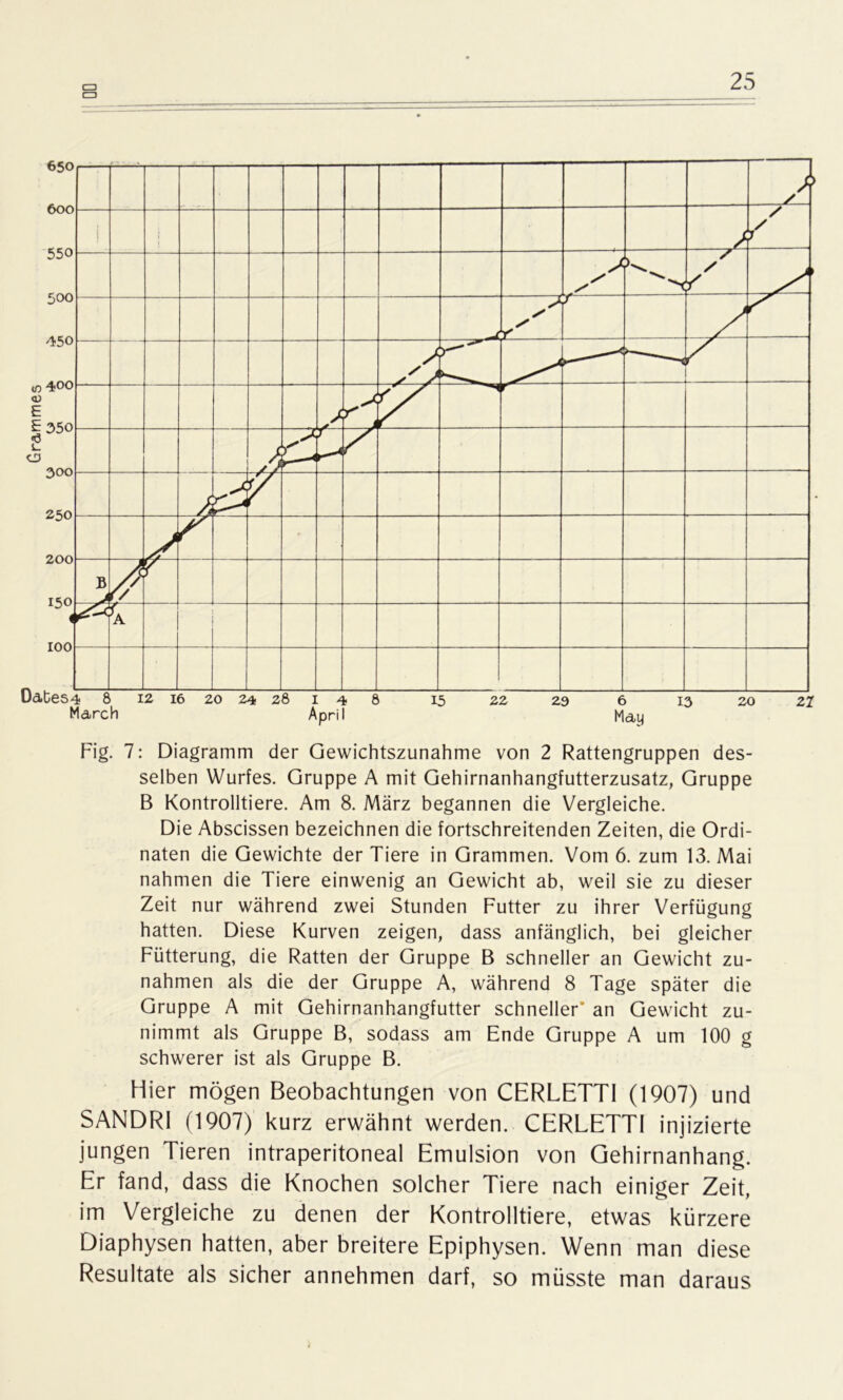 CU CU 25 Fig. 7: Diagramm der Gewichtszunahme von 2 Rattengruppen des- selben Wurfes. Gruppe A mit Gehirnanhangfutterzusatz, Gruppe B Kontrolliere. Am 8. März begannen die Vergleiche. Die Abscissen bezeichnen die fortschreitenden Zeiten, die Ordi- naten die Gewichte der Tiere in Grammen. Vom 6. zum 13. Mai nahmen die Tiere einwenig an Gewicht ab, weil sie zu dieser Zeit nur während zwei Stunden Futter zu ihrer Verfügung hatten. Diese Kurven zeigen, dass anfänglich, bei gleicher Fütterung, die Ratten der Gruppe B schneller an Gewicht Zu- nahmen als die der Gruppe A, während 8 Tage später die Gruppe A mit Gehirnanhangfutter schneller’ an Gewicht zu- nimmt als Gruppe B, sodass am Ende Gruppe A um 100 g schwerer ist als Gruppe B. Hier mögen Beobachtungen von CERLETTI (1907) und SANDRI (1907) kurz erwähnt werden. CERLETTI injizierte jungen Tieren intraperitoneal Emulsion von Gehirnanhang. Er fand, dass die Knochen solcher Tiere nach einiger Zeit, im Vergleiche zu denen der Kontrolliere, etwas kürzere Diaphysen hatten, aber breitere Epiphysen. Wenn man diese Resultate als sicher annehmen darf, so müsste man daraus