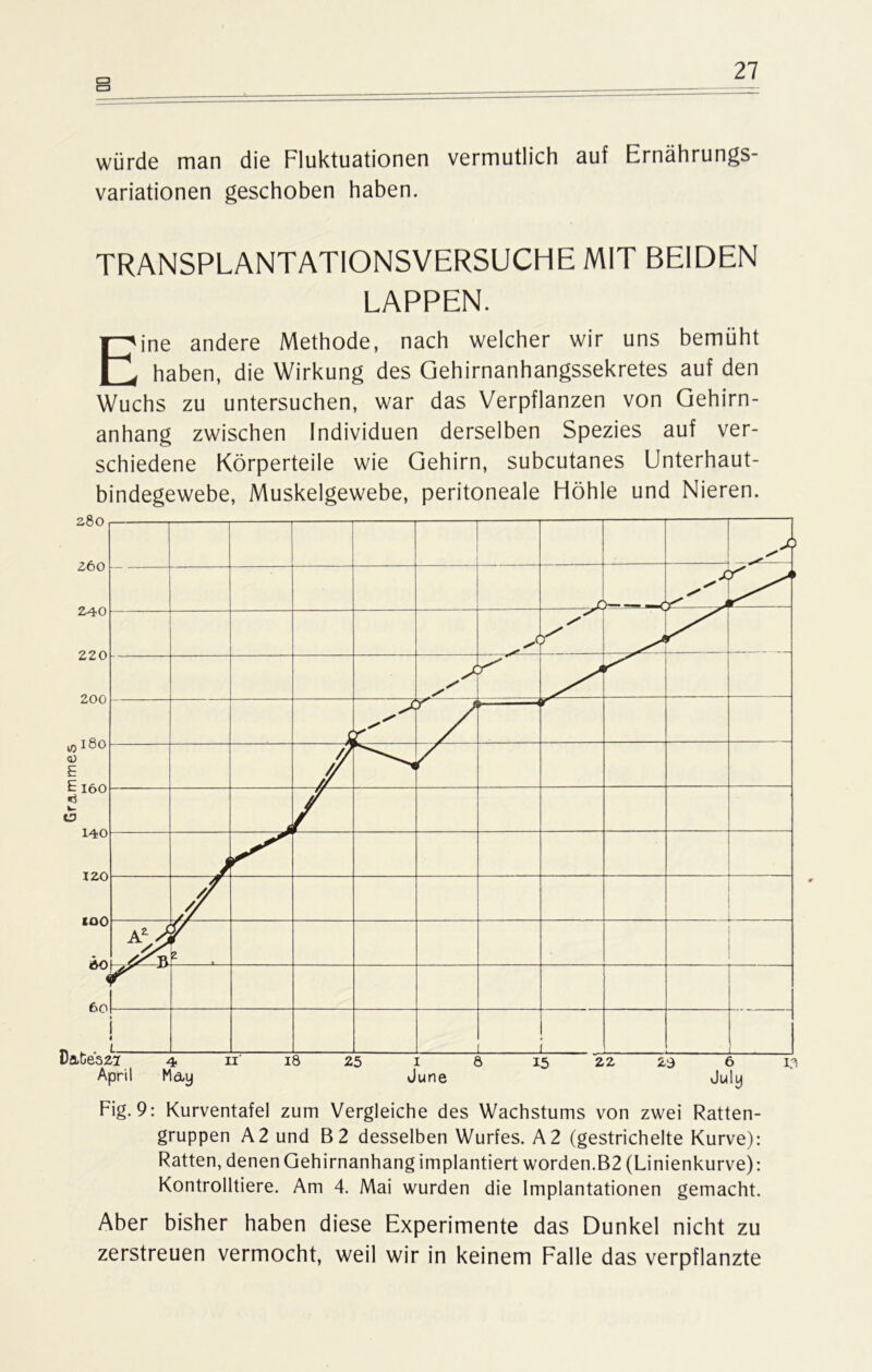 Grammes würde man die Fluktuationen vermutlich auf Ernährungs- variationen geschoben haben. TRANSPLANTATIONSVERSUCHE MIT BEIDEN LAPPEN. Eine andere Methode, nach welcher wir uns bemüht haben, die Wirkung des Gehirnanhangssekretes auf den Wuchs zu untersuchen, war das Verpflanzen von Gehirn- anhang zwischen Individuen derselben Spezies auf ver- schiedene Körperteile wie Gehirn, subcutanes Unterhaut- bindegewebe, Muskelgewebe, peritoneale Höhle und Nieren. Fig. 9: Kurventafel zum Vergleiche des Wachstums von zwei Ratten- gruppen A2 und B2 desselben Wurfes. A2 (gestrichelte Kurve): Ratten, denen Gehirnanhang implantiert worden.B2 (Linienkurve): Kontrolltiere. Am 4. Mai wurden die Implantationen gemacht. Aber bisher haben diese Experimente das Dunkel nicht zu zerstreuen vermocht, weil wir in keinem Falle das verpflanzte