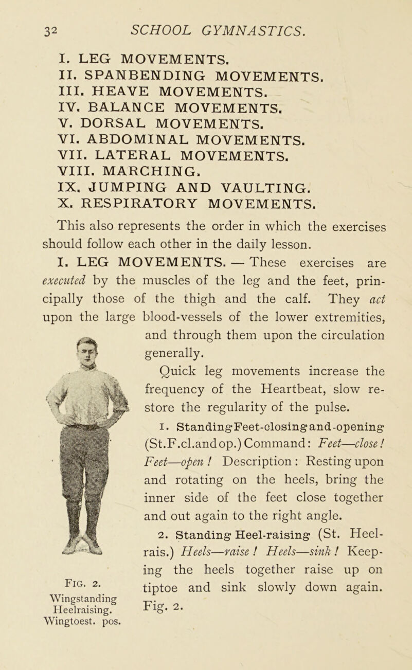 I. LEG MOVEMENTS. II. SPANBENDING MOVEMENTS. III. HEAVE MOVEMENTS. IV. BALANCE MOVEMENTS. V. DORSAL MOVEMENTS. VI. ABDOMINAL MOVEMENTS. VII. LATERAL MOVEMENTS. VIII. MARCHING. IX. JUMPING AND VAULTING. X. RESPIRATORY MOVEMENTS. This also represents the order in which the exercises should follow each other in the daily lesson. I. LEG MOVEMENTS. — These exercises are executed by the muscles of the leg and the feet, prin- cipally those of the thigh and the calf. They act upon the large blood-vessels of the lower extremities, and through them upon the circulation generally. Quick leg movements increase the frequency of the Heartbeat, slow re- store the regularity of the pulse. 1. StandingFeet-closingand-opening (St.F.cl.and op.) Command: Feet—close ! Feet—open ! Description : Resting upon and rotating on the heels, bring the inner side of the feet close together and out again to the right angle. 2. Standing Heel-raising (St. Heel- rais.) Heels—raise ! Heels—sink ! Keep- ing the heels together raise up on tiptoe and sink slowly down again. Fig. 2. Fig. 2. Wingstanding Heelraising. Wingtoest. pos.