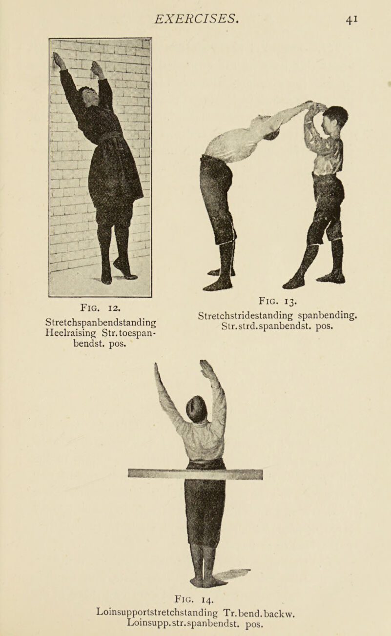 Fig. 12. Stretchspanbendstanding Heelraising Str.toespan- bendst. pos. Fig. 13. Stretchstridestanding spanbending. Str.strd.spanbendst. pos. Fig. 14. Loinsupportstretchstanding Tr.bend.backw. Loinsupp.str.spanbendst. pos.