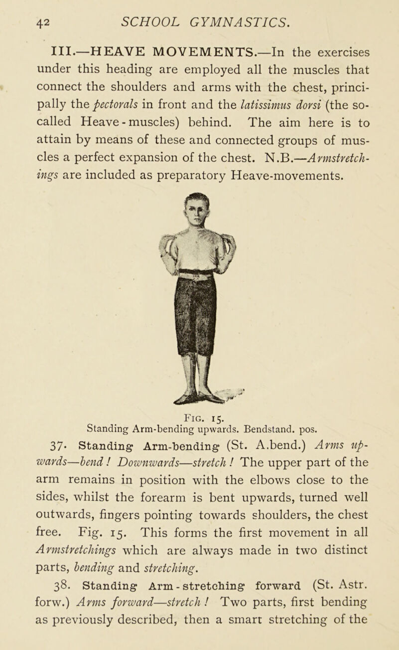 III.—HEAVE MOVEMENTS.—In the exercises under this heading are employed all the muscles that connect the shoulders and arms with the chest, princi- pally the pectorals in front and the latissimus dorsi (the so- called Heave - muscles) behind. The aim here is to attain by means of these and connected groups of mus- cles a perfect expansion of the chest. N.B.—Armstretch- ings are included as preparatory Heave-movements. Fig. 15. Standing Arm-bending upwards. Bendstand. pos. 37* Standing Arm-bending (St. A.bend.) Arms tip- wards—bend ! Downwards—stretch ! The upper part of the arm remains in position with the elbows close to the sides, whilst the forearm is bent upwards, turned well outwards, fingers pointing towards shoulders, the chest free. Fig. 15. This forms the first movement in all Armstretchings which are always made in two distinct parts, bending and stretching. 38. Standing Arm - stretching forward (St. Astr. forw.) Arms forward—stretch ! Two parts, first bending as previously described, then a smart stretching of the